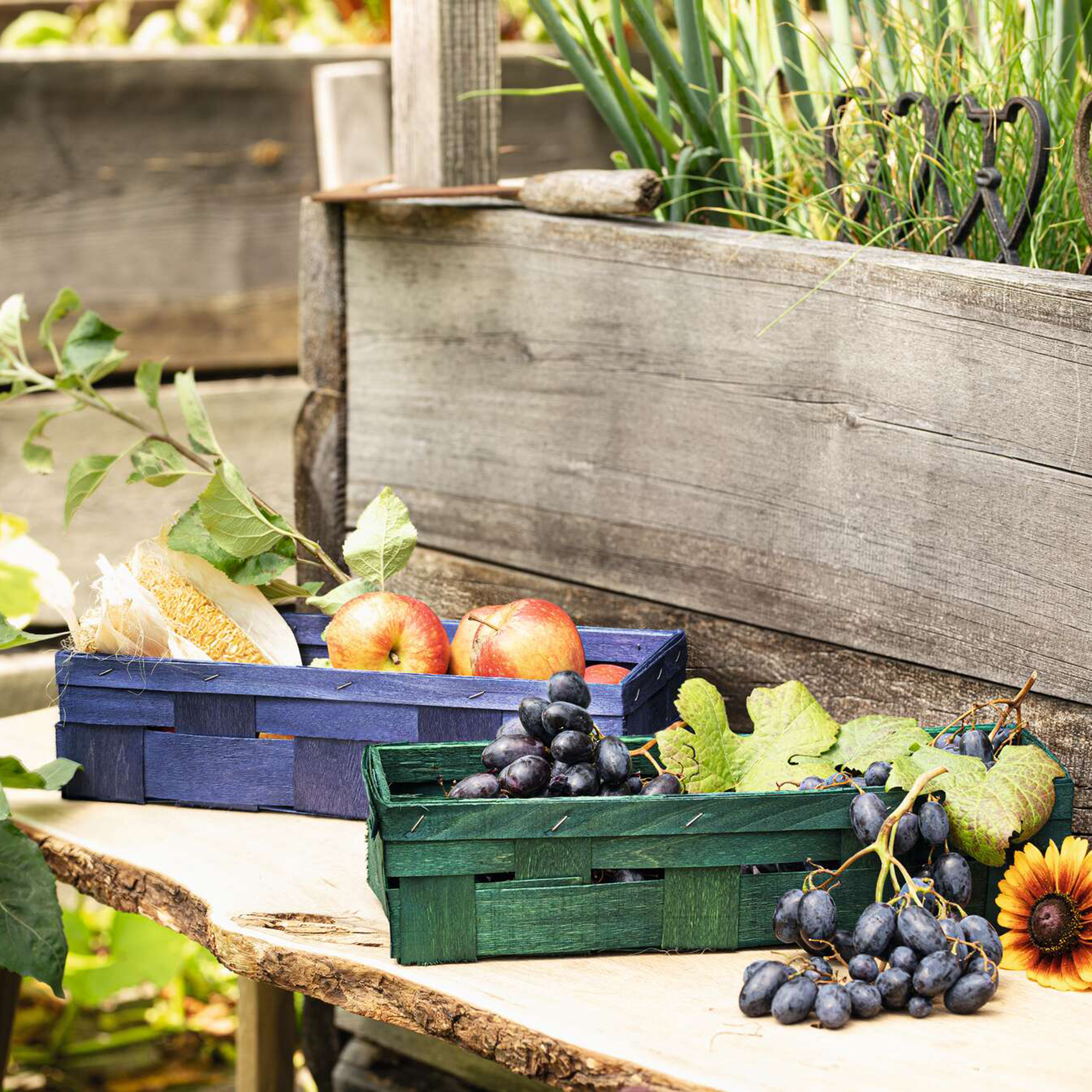 Acheter Panier "teint", vert  dans la boutique en ligne de Frank Flechtwaren