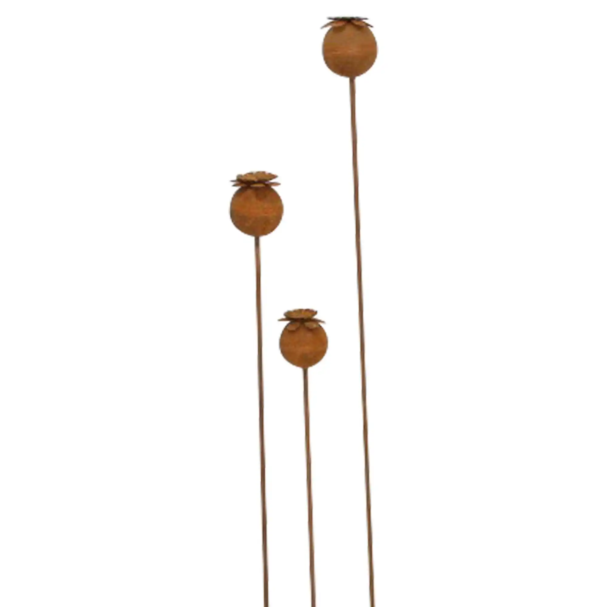 Acheter Lot de 3 pics de jardin "coquelicot"  dans la boutique en ligne de Frank Flechtwaren pour Pics de jardin