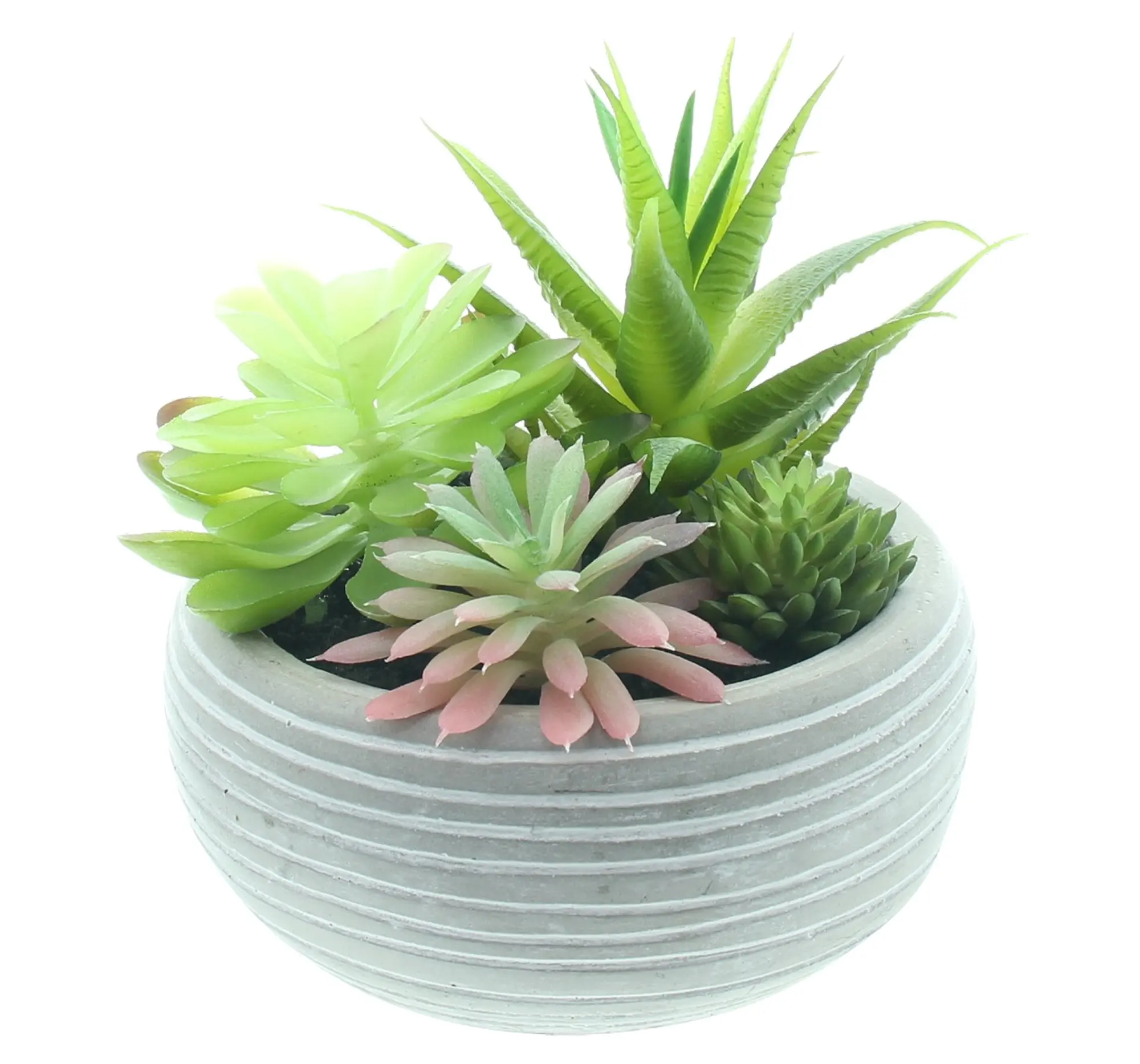 Acheter Plante artificielle en pot "succulente"  dans la boutique en ligne de Frank Flechtwaren pour Nature et vert
