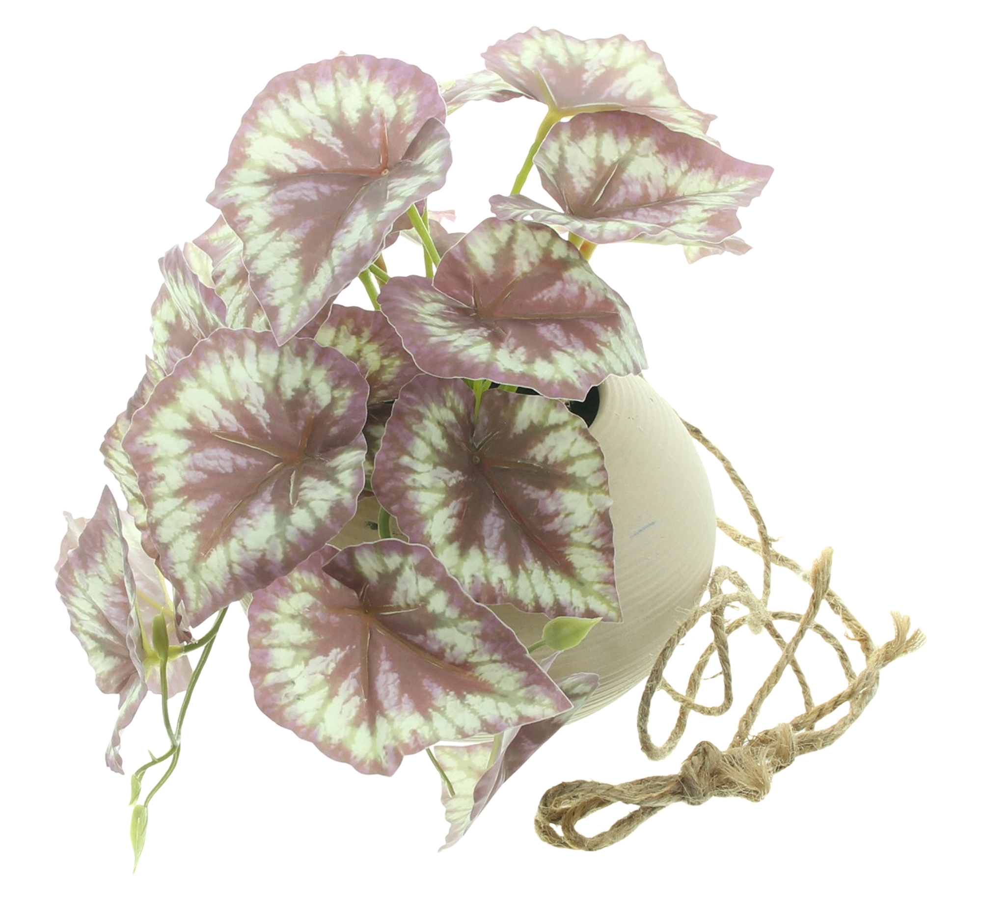 Acheter Plante artificielle dans son pot suspendu  dans la boutique en ligne de Frank Flechtwaren pour Nouvel arrivage