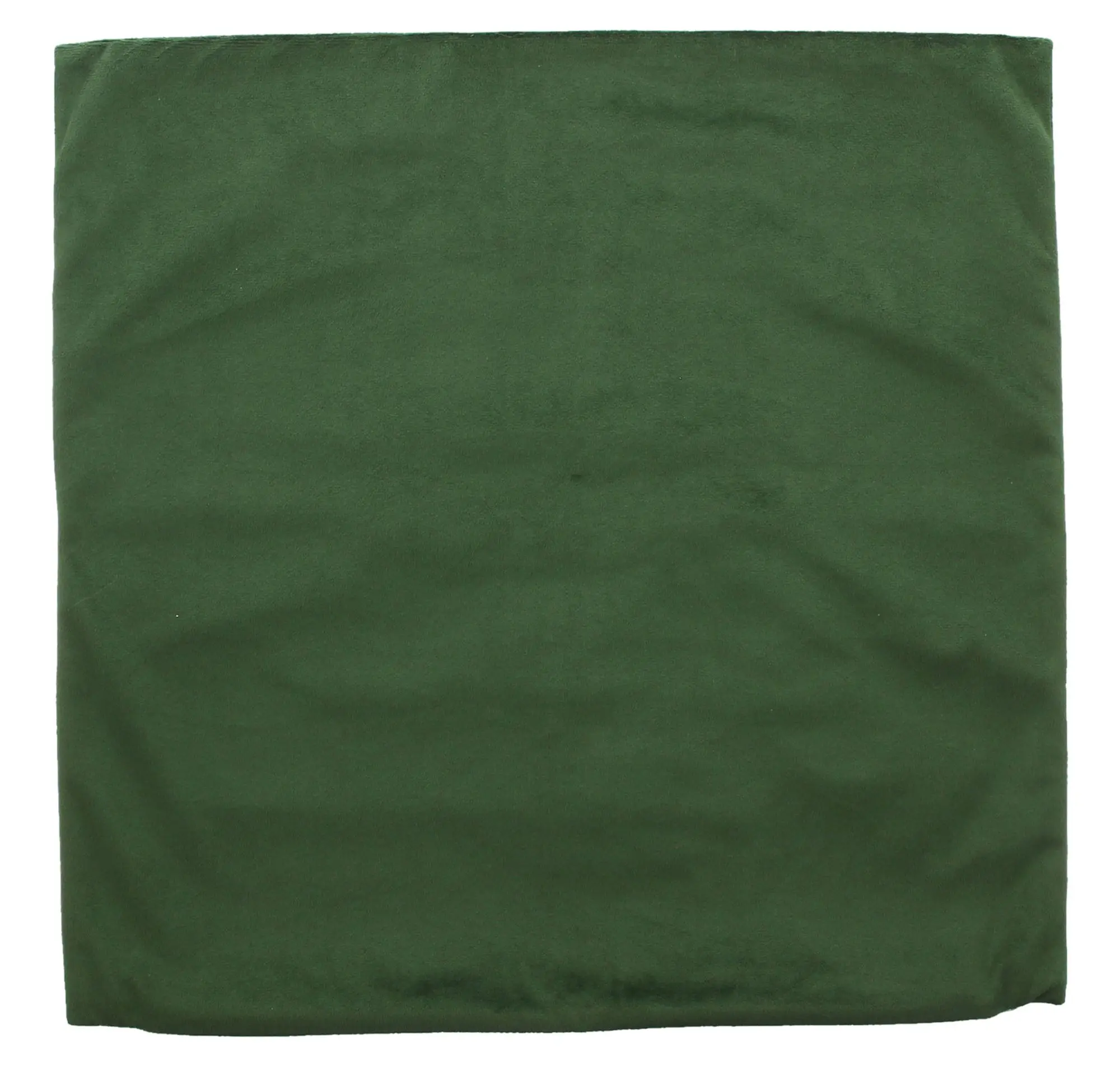 Acheter Housse de coussin « Petit raton laveur »  dans la boutique en ligne de Frank Flechtwaren pour Coussins &amp; remplissages