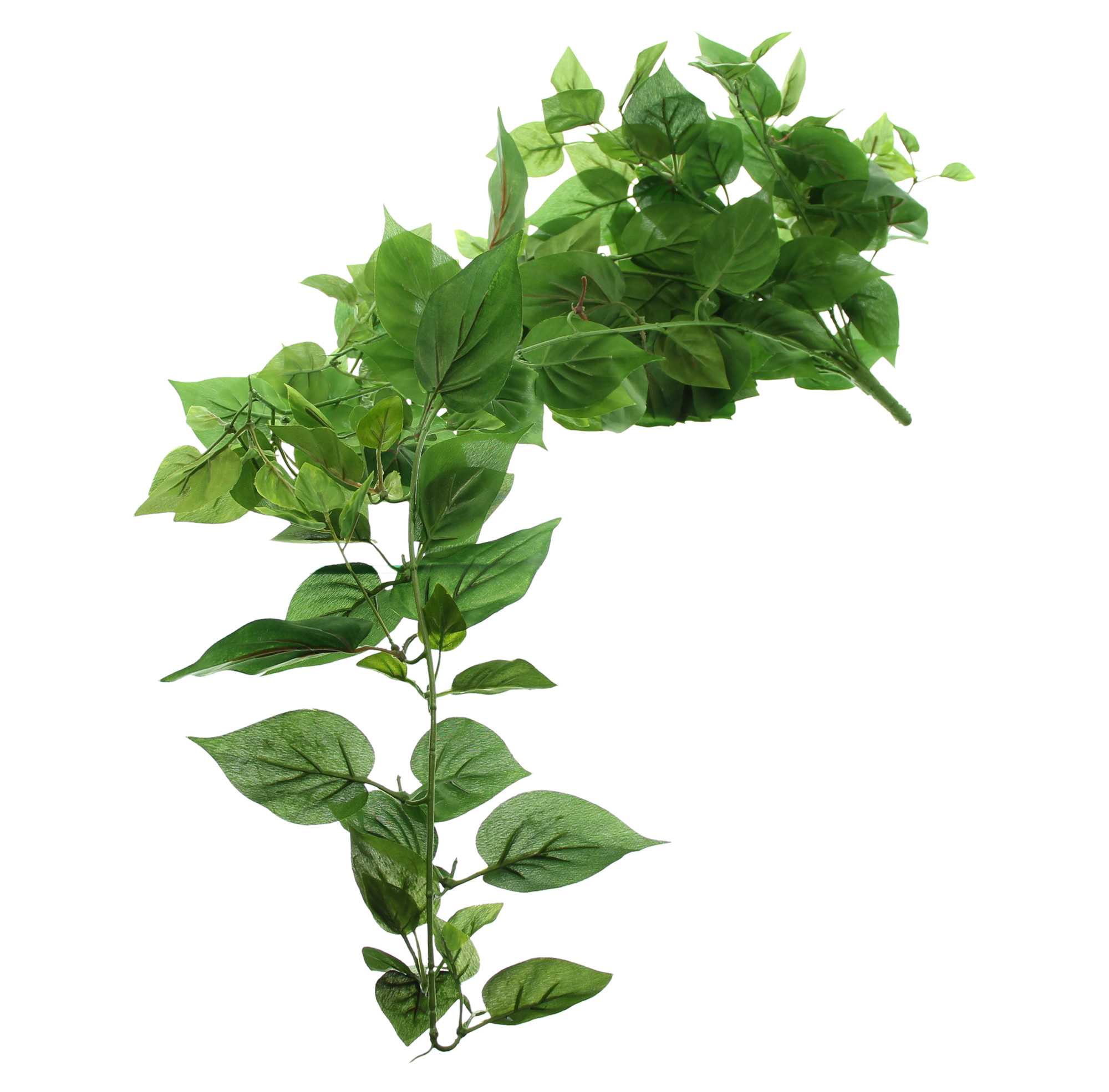 Acheter Liane de lierre "vert feuille"  dans la boutique en ligne de Frank Flechtwaren pour Plantes artificielles
