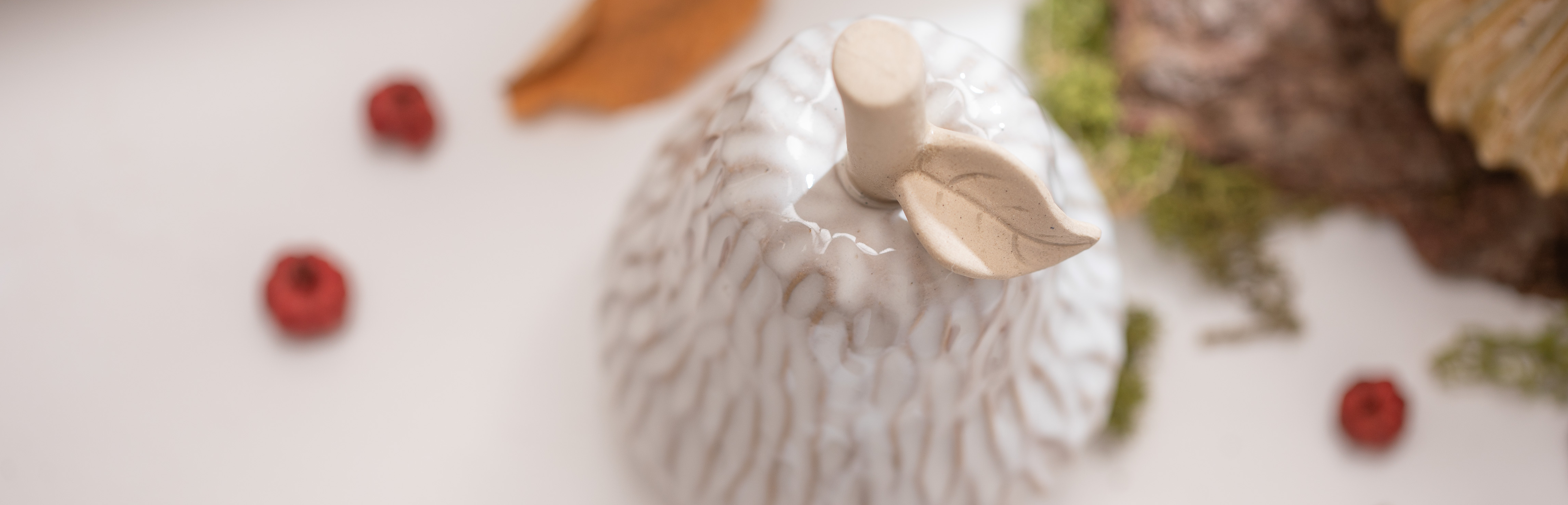 Notre série de titres automne/hiver