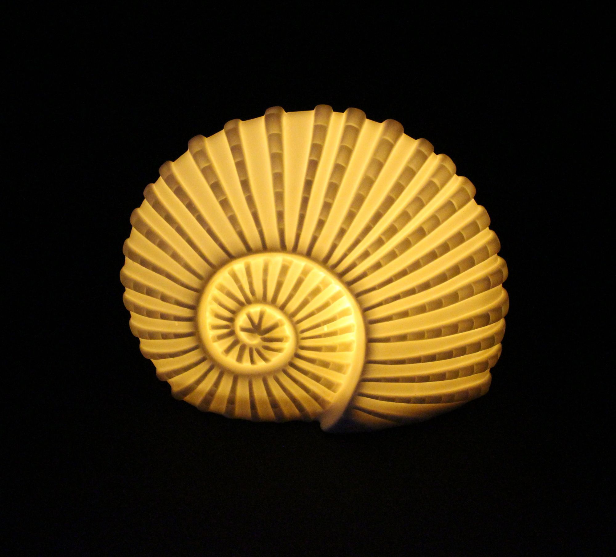 Acheter Coquillage LED "White"  dans la boutique en ligne de Frank Flechtwaren pour Figurines de jardin