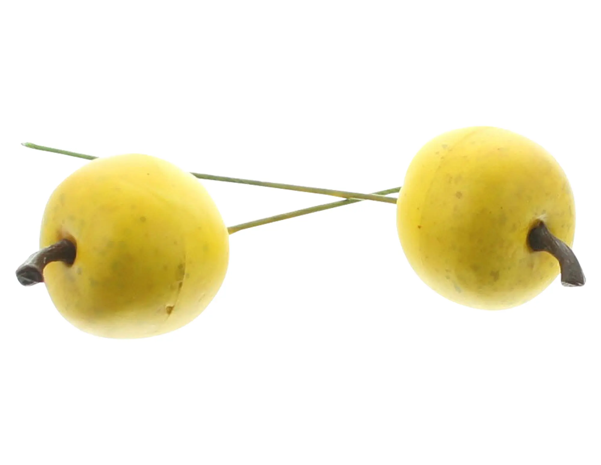Acheter Lot de 24 mini pommes "jaune"  dans la boutique en ligne de Frank Flechtwaren pour Confettis de table et pics