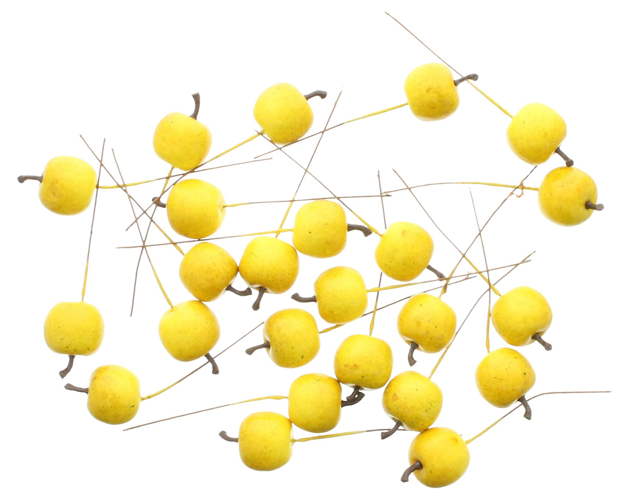 Acheter Lot de 24 mini pommes "jaune"  dans la boutique en ligne de Frank Flechtwaren pour Automne