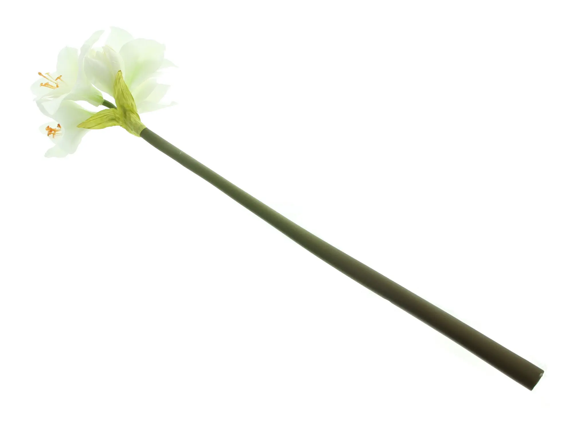 Acheter Fleur artificielle "Amaryllis", crème  dans la boutique en ligne de Frank Flechtwaren pour Plantes artificielles