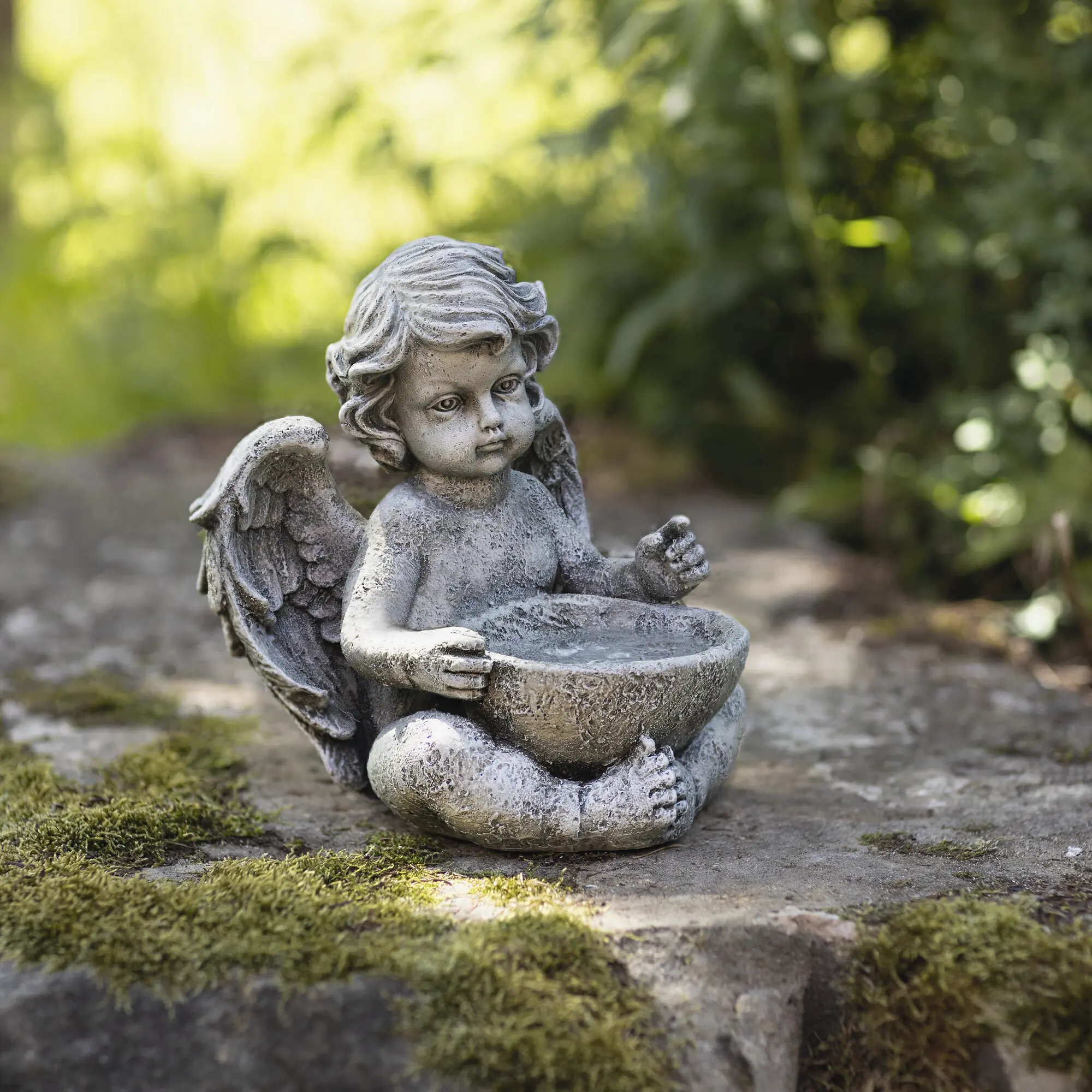 Acheter Ange "abreuvoir à oiseaux"  dans la boutique en ligne de Frank Flechtwaren
