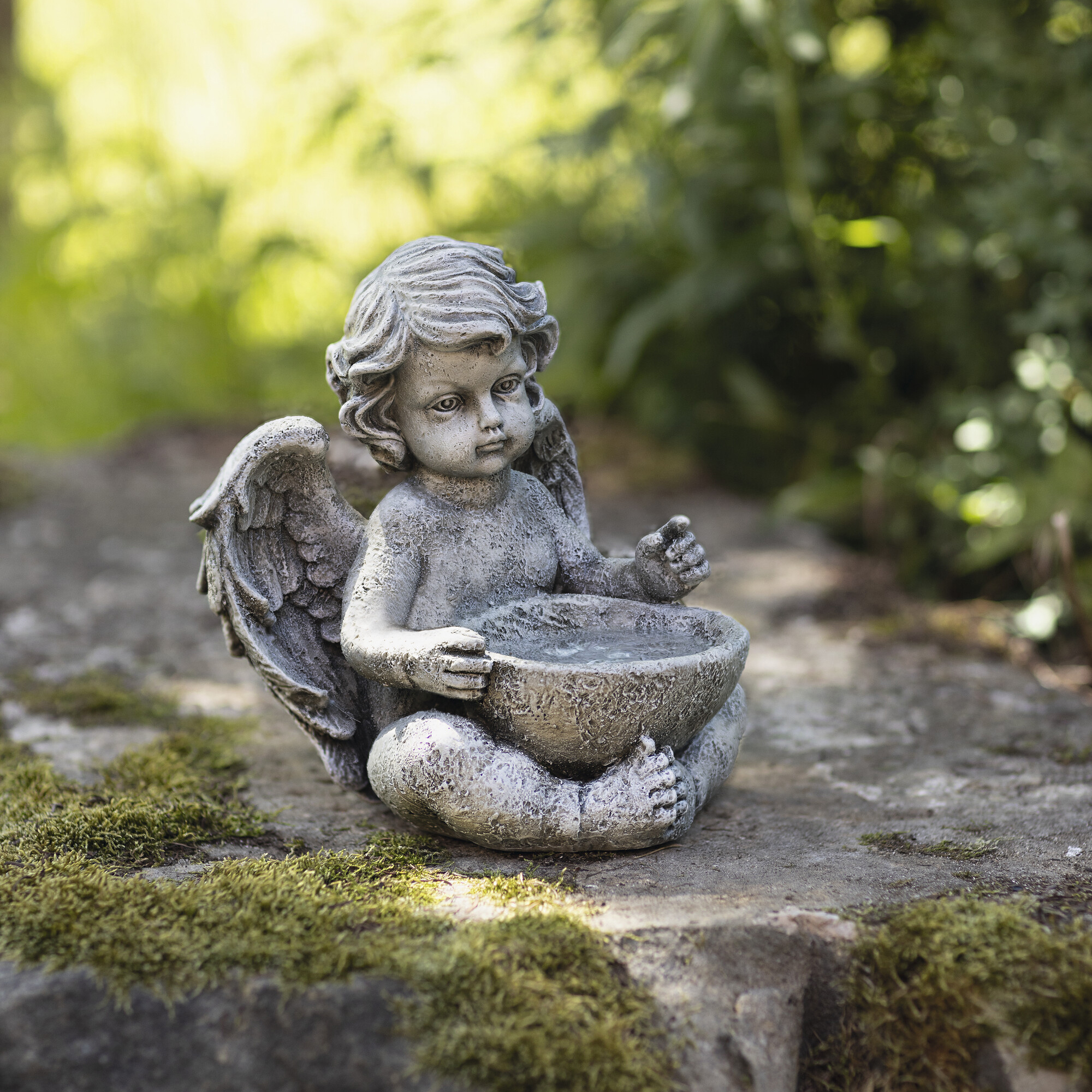 Acheter Ange "abreuvoir à oiseaux"  dans la boutique en ligne de Frank Flechtwaren