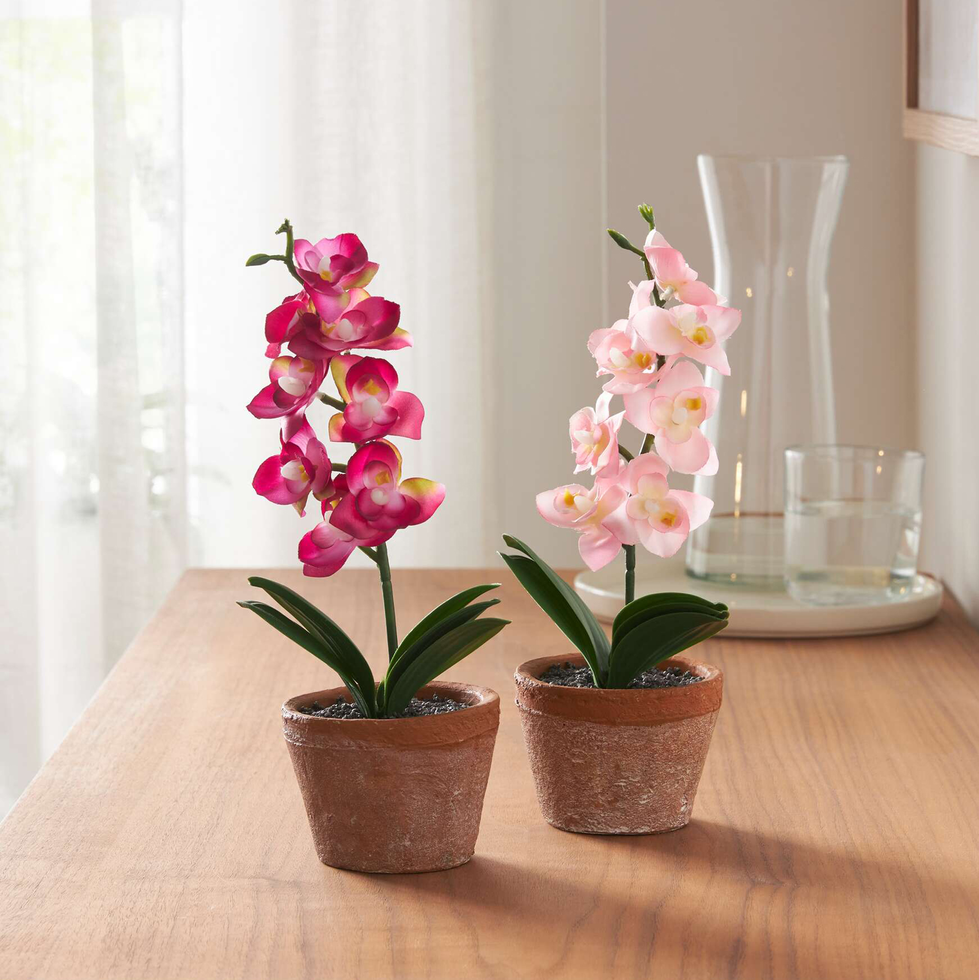 Acheter Lot de 2 orchidées en pot  dans la boutique en ligne de Frank Flechtwaren