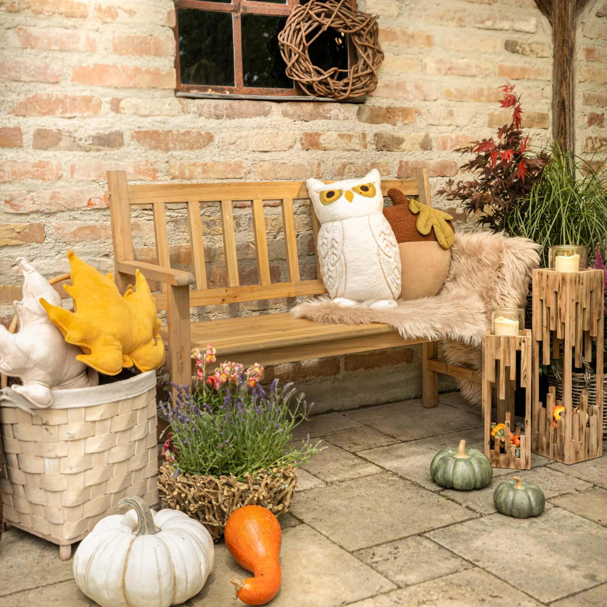 Moments d'automne dorés