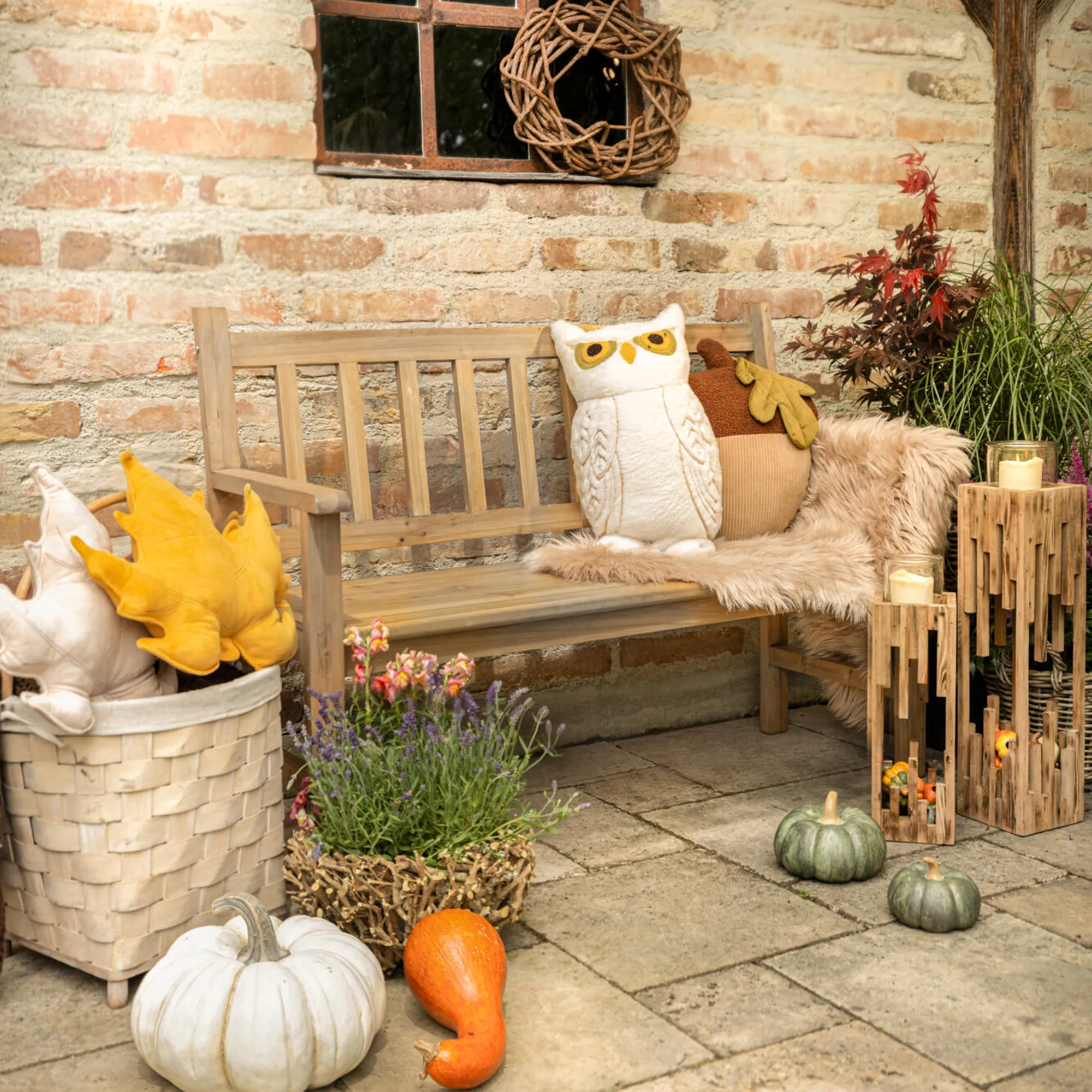 Moments d'automne dorés
