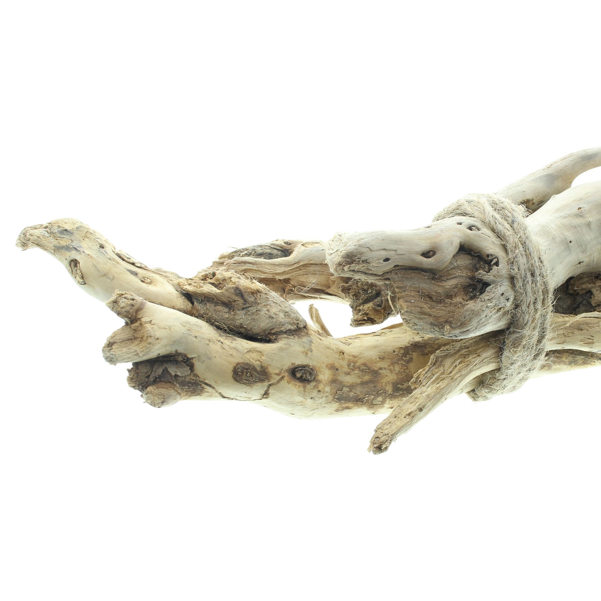 Acheter Fagot de bois "Bois de racines"  dans la boutique en ligne de Frank Flechtwaren pour Bouquets décoratifs