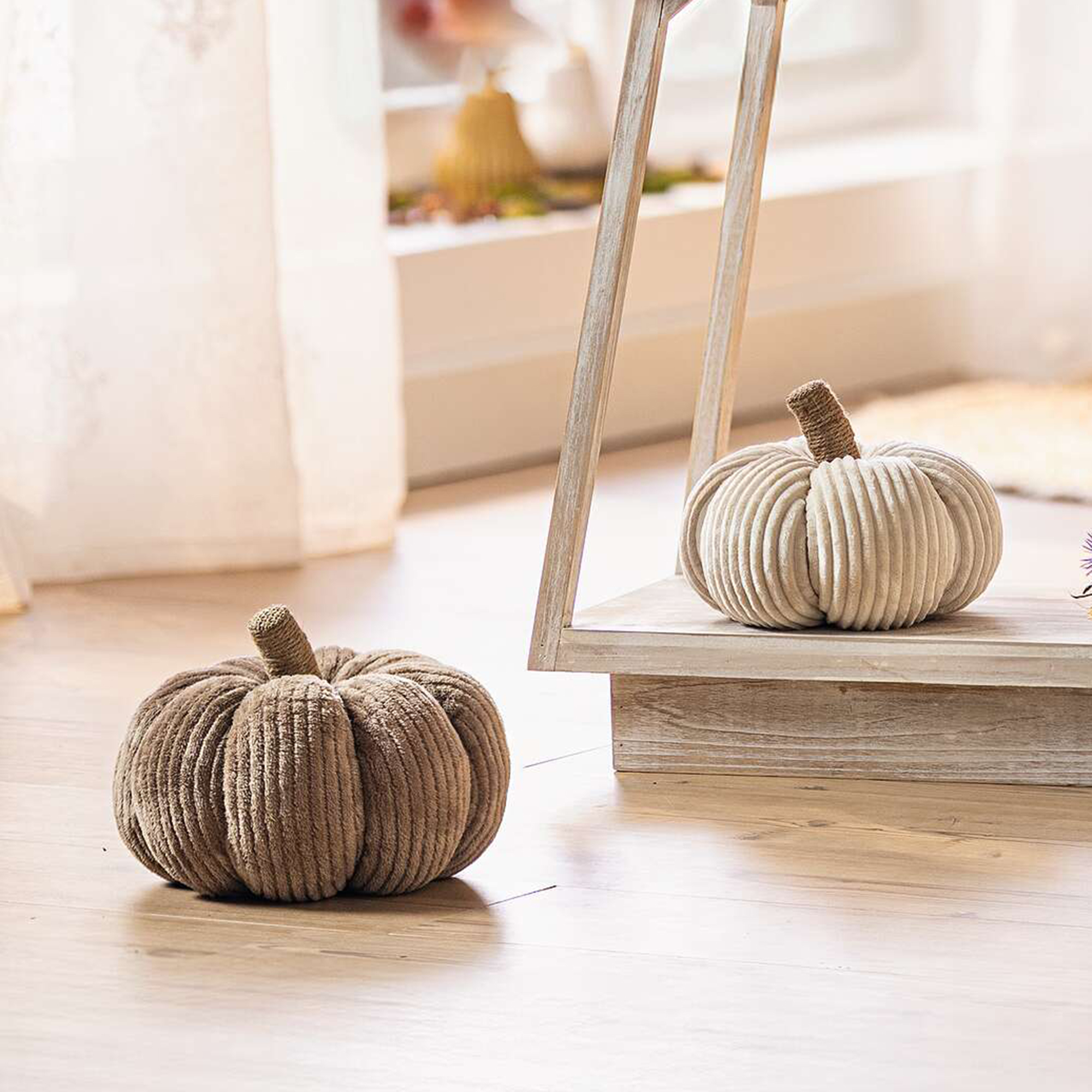 Acheter Lot de 2 citrouilles "velours côtelé"  dans la boutique en ligne de Frank Flechtwaren pour Série titre automne/hiver