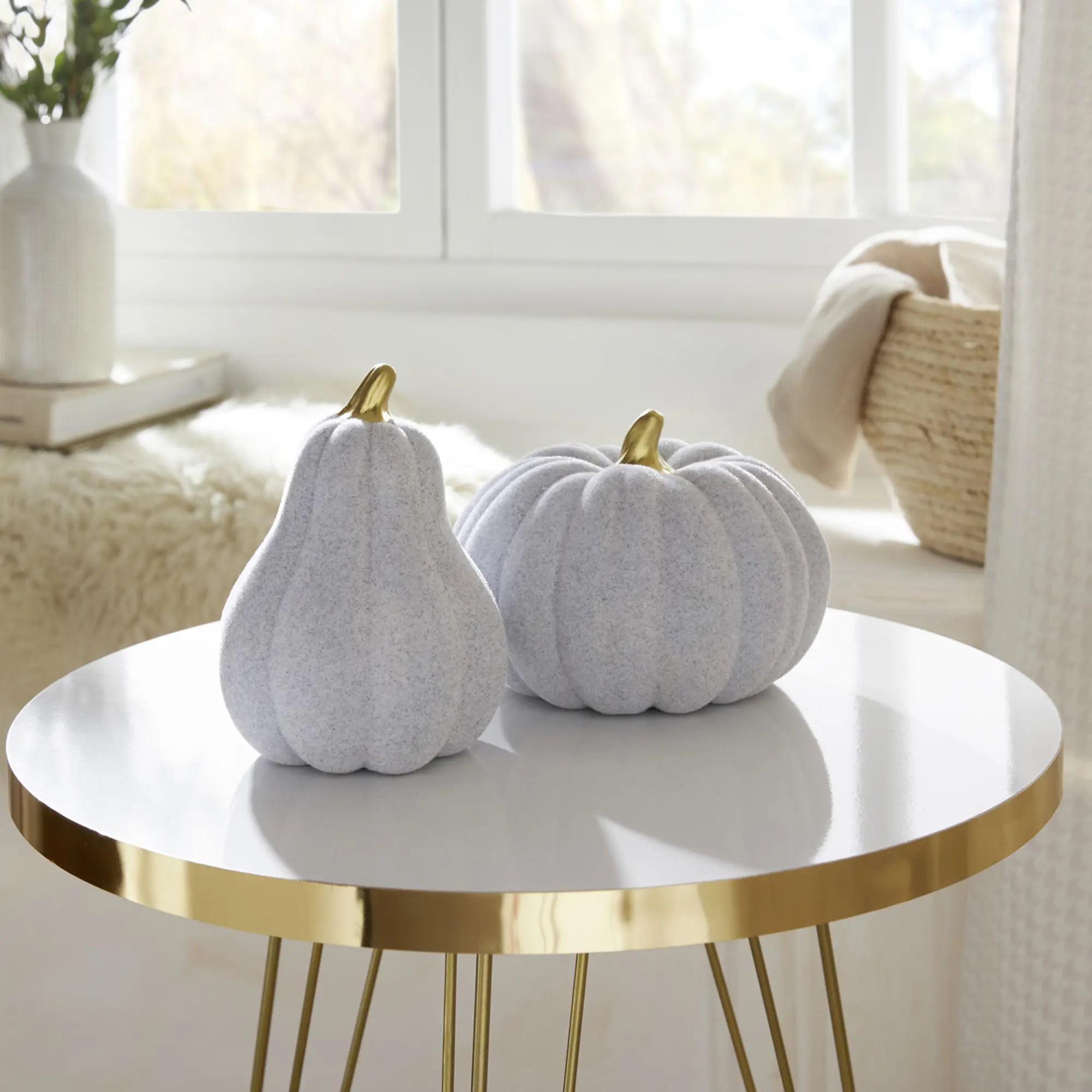 Acheter Lot de 2 citrouilles "gris"  dans la boutique en ligne de Frank Flechtwaren