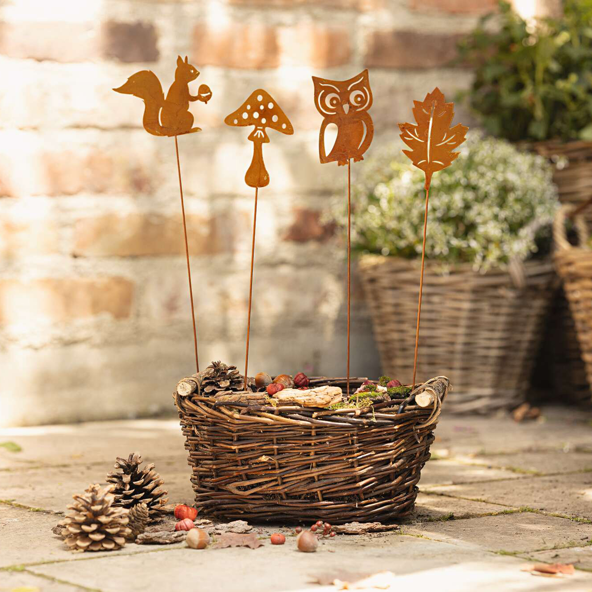 Acheter Lot de 4 pics "quatuor d'automne"  dans la boutique en ligne de Frank Flechtwaren pour Jardin d'automne