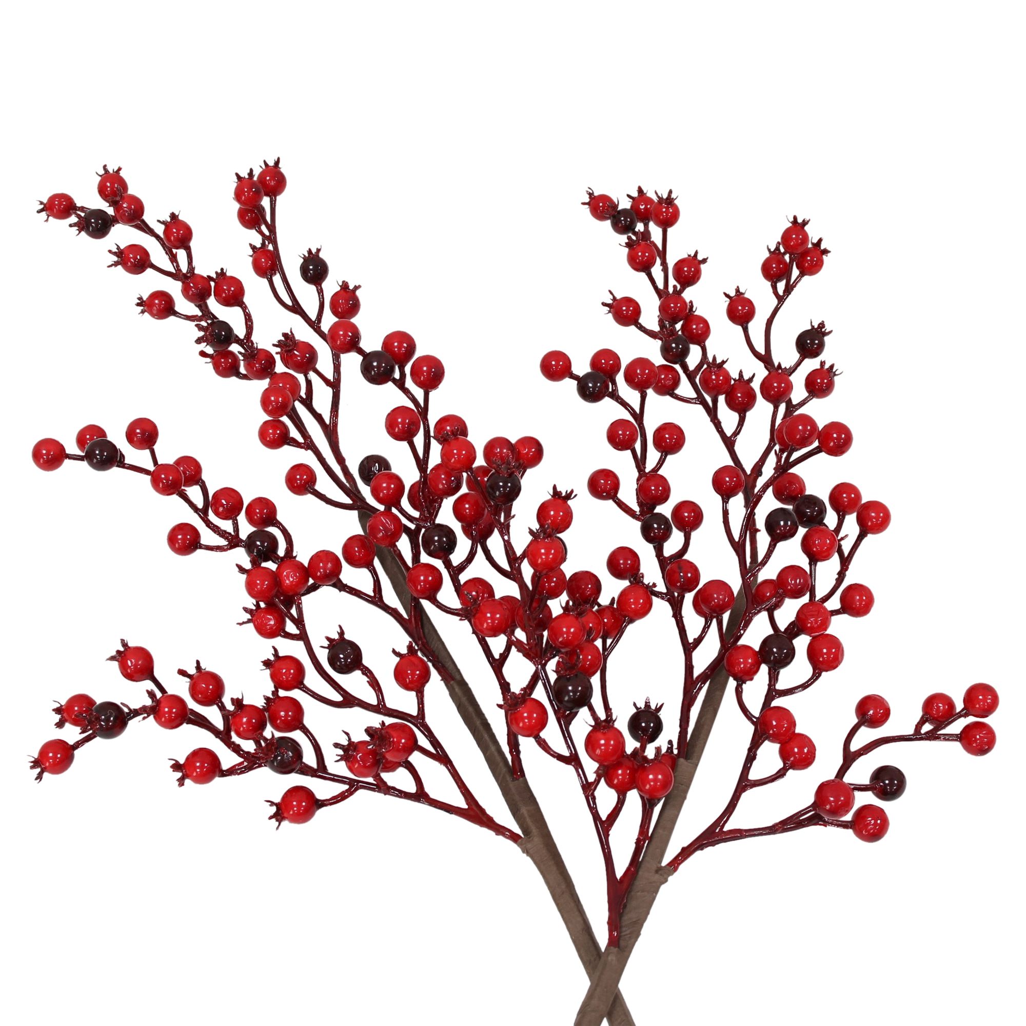 Acheter Branche décorative « Baies rouges », lot de 2 dans la boutique en ligne de Frank Flechtwaren pour Couronnes et bouquets