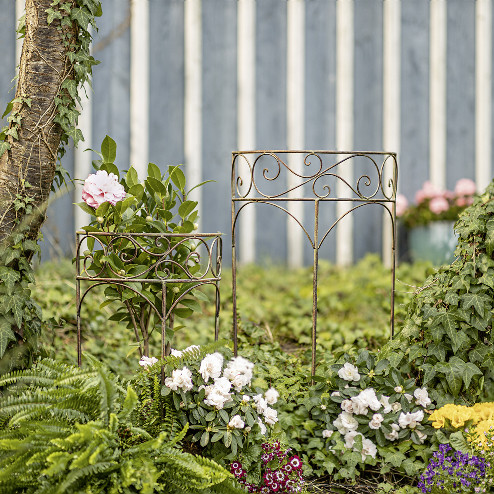 Acheter Lot de 2 tuteurs à plantes "Antique"  dans la boutique en ligne de Frank Flechtwaren