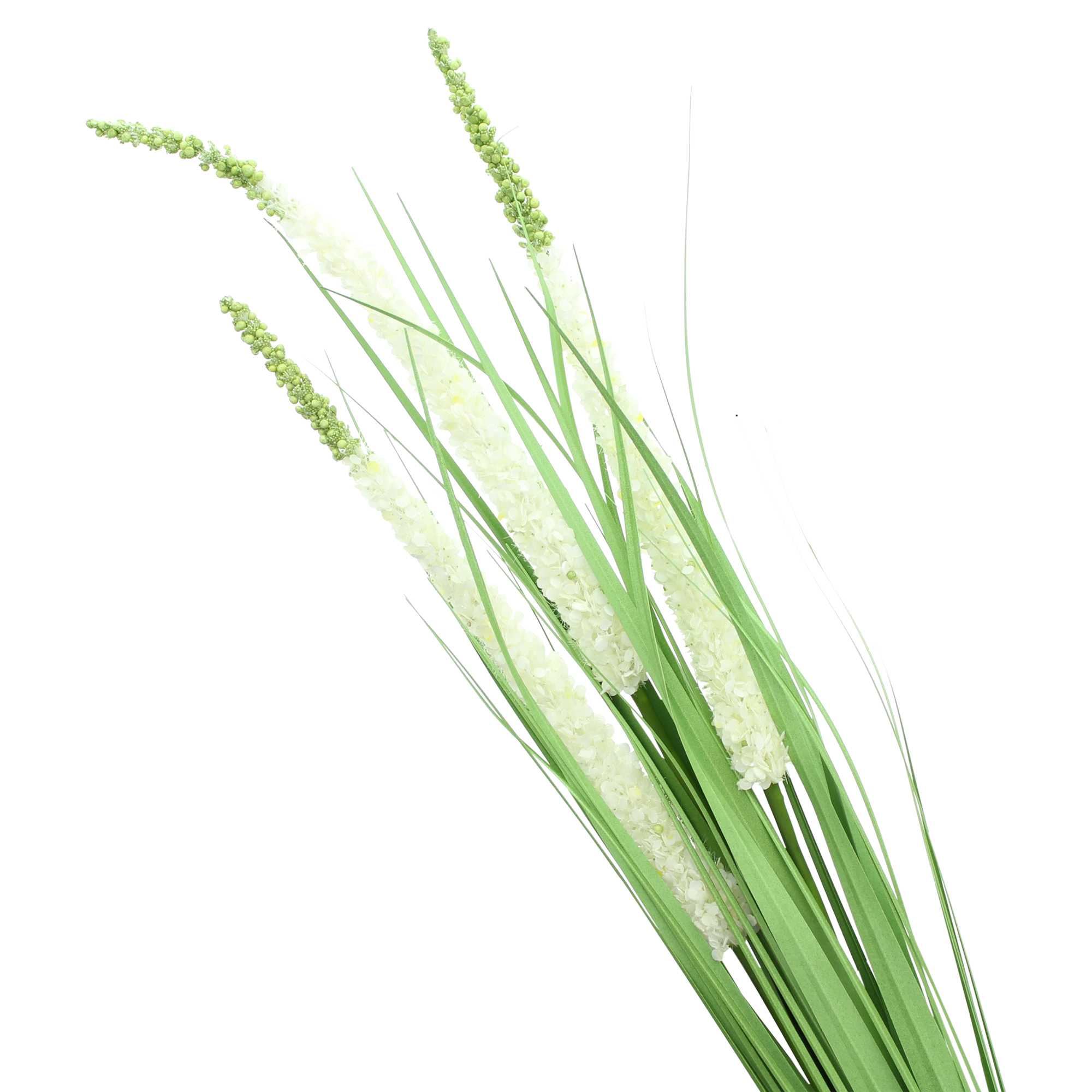 Acheter Palnte artificielle"érémurus"  dans la boutique en ligne de Frank Flechtwaren pour Plantes artificielles