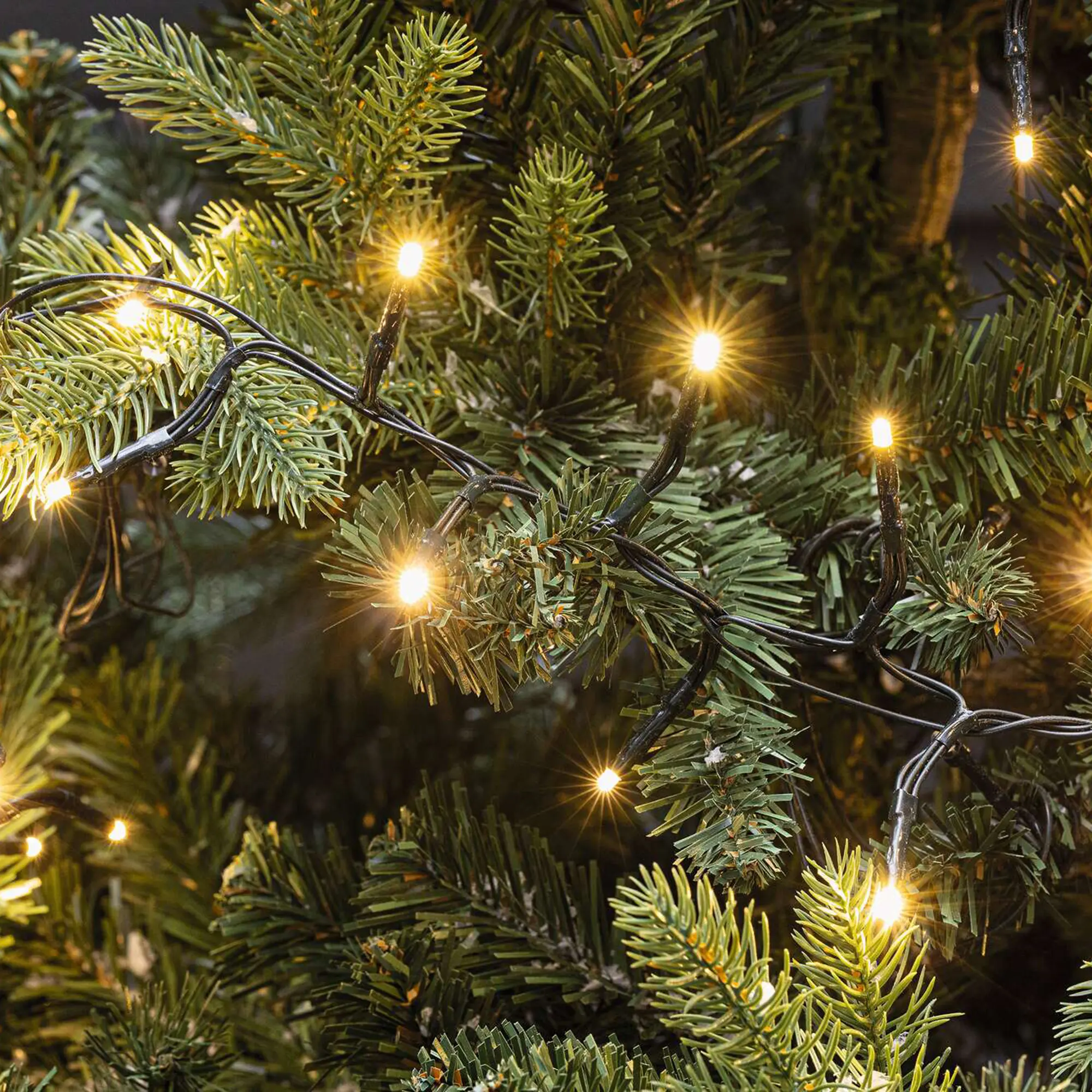 Acheter Guirlande LED "3D"  dans la boutique en ligne de Frank Flechtwaren