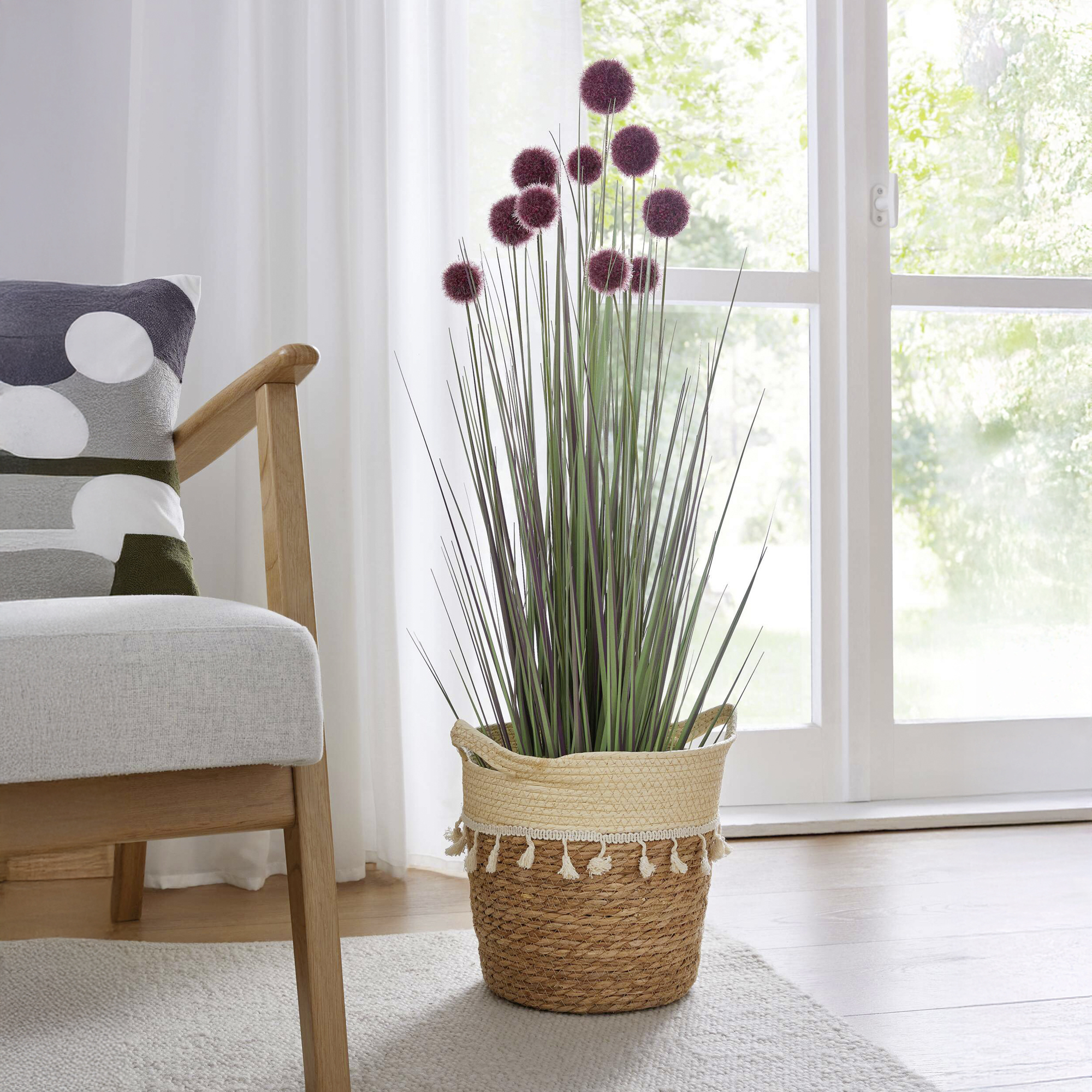 Acheter Plante en pot "Allium"  dans la boutique en ligne de Frank Flechtwaren