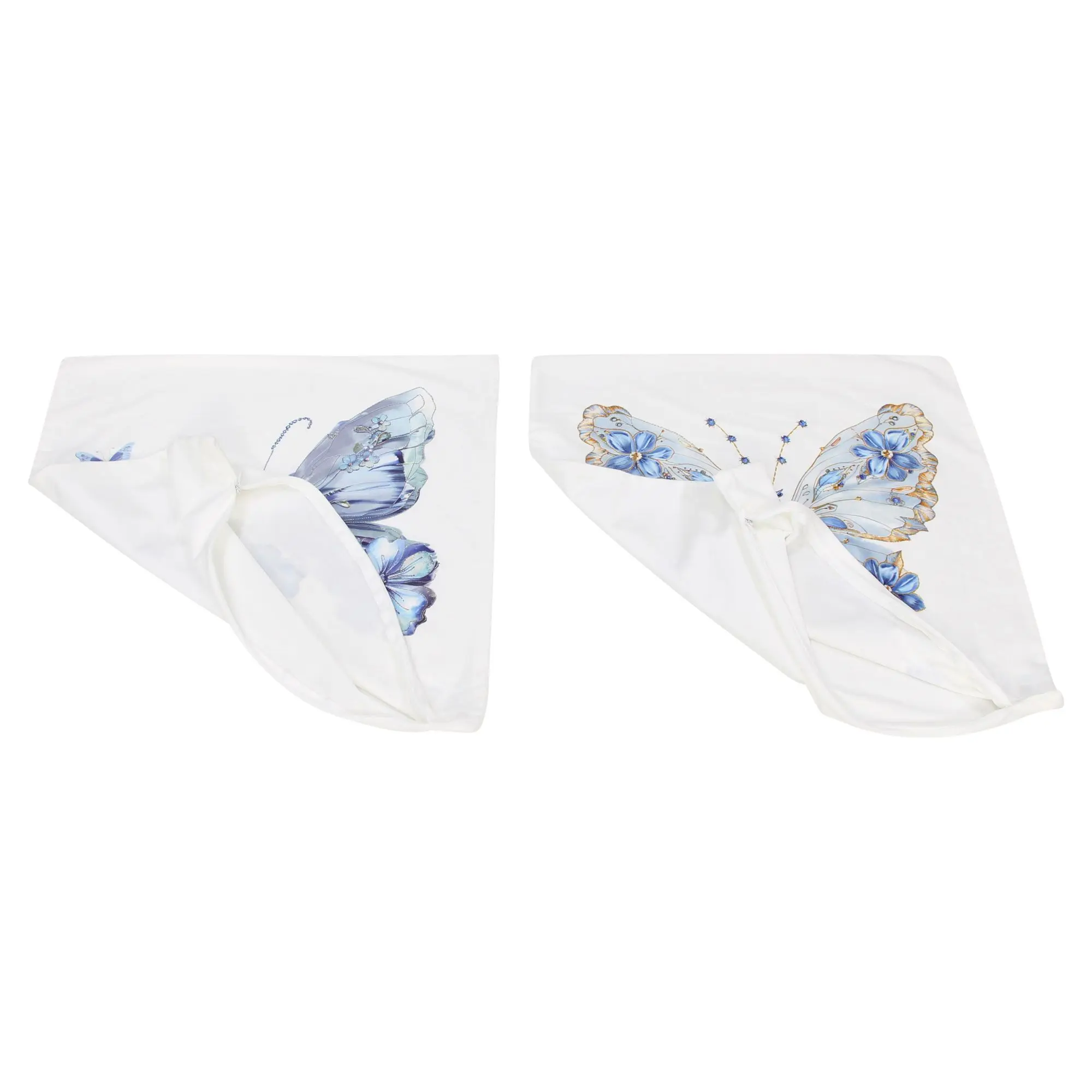 Acheter Lot de 2 housses de coussin "Papillon bleu"  dans la boutique en ligne de Frank Flechtwaren pour Remplissages