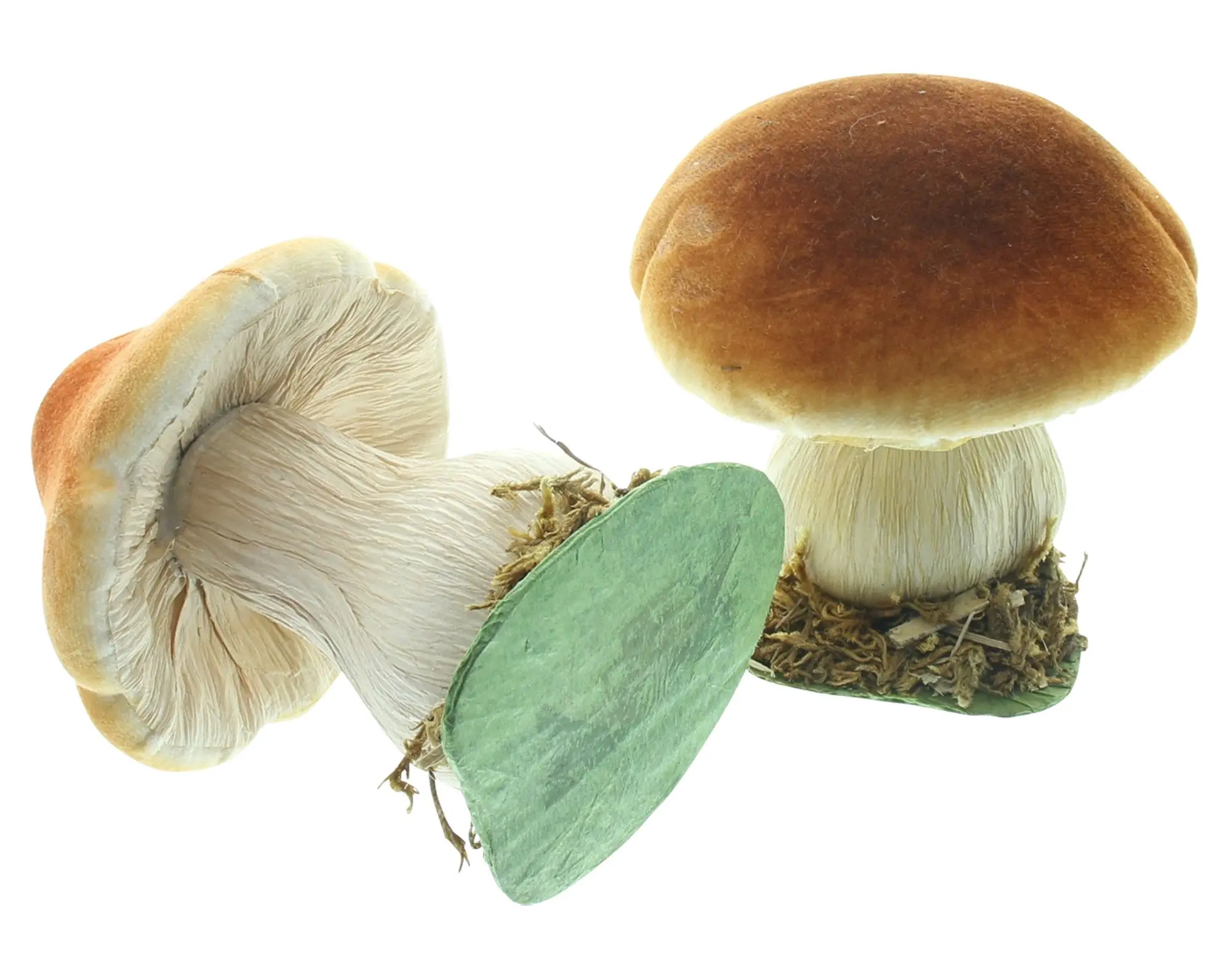 Acheter Décoration d'automne « Petits champignons », lot de 2 dans la boutique en ligne de Frank Flechtwaren pour Promenade en forêt