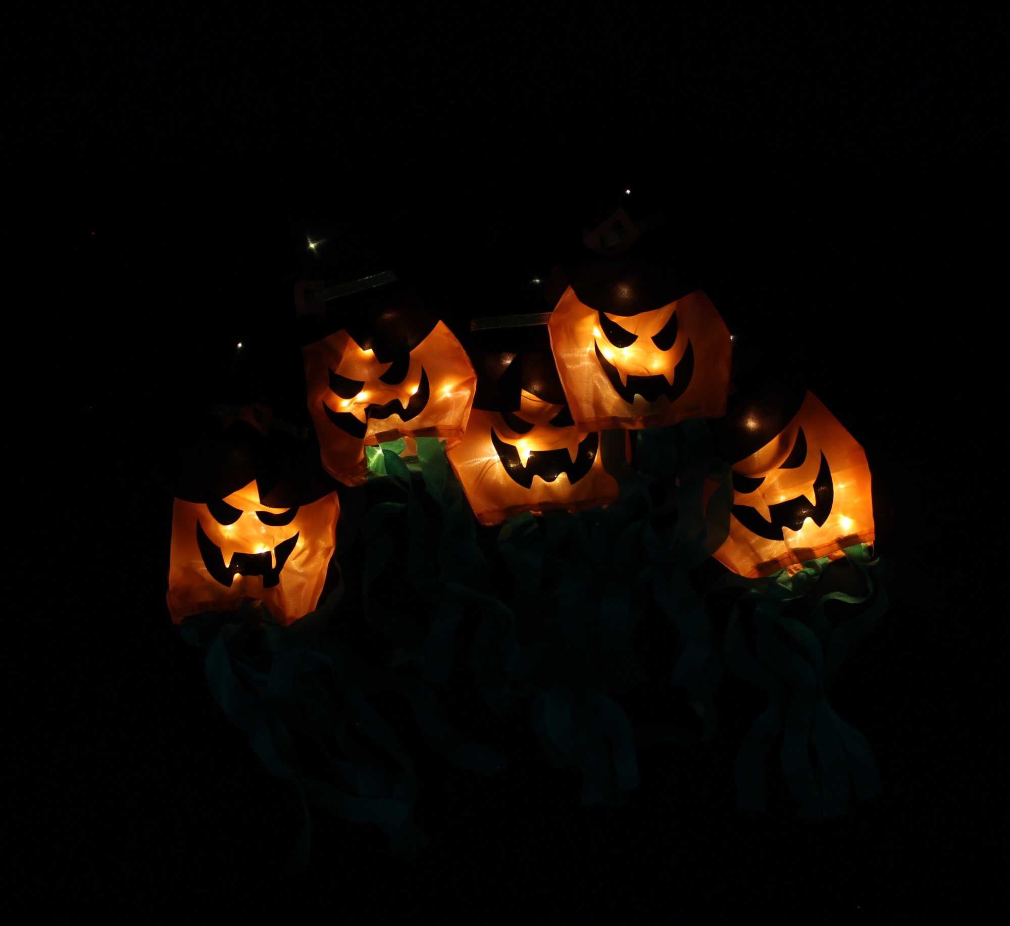 Acheter Guirlande LED "Halloween"  dans la boutique en ligne de Frank Flechtwaren pour Jardin d'automne