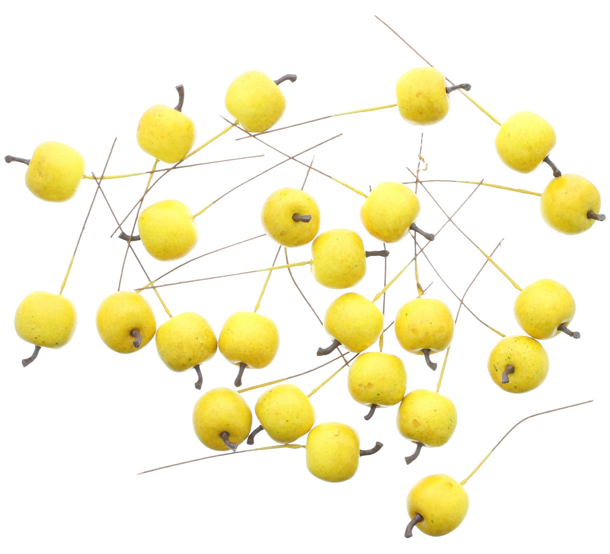 Acheter Lot de 24 mini pommes "jaune"  dans la boutique en ligne de Frank Flechtwaren pour Automne