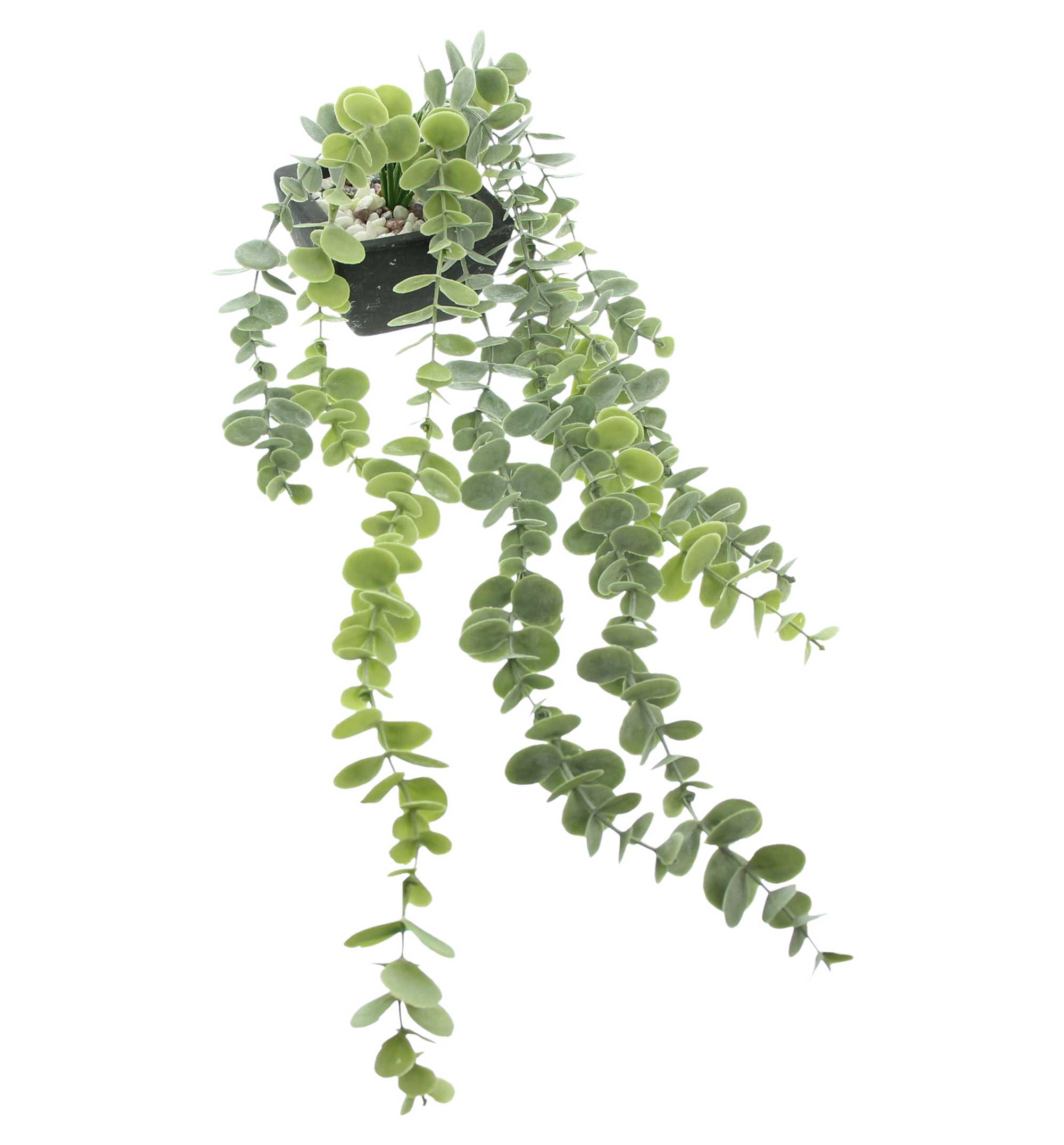 Acheter Lot de 2 plantes artificielles "verdure" dans la boutique en ligne de Frank Flechtwaren pour Plantes artificielles Acheter Lot de 2 plantes artificielles "verdure" dans la boutique en ligne de Frank Flechtwaren pour Plantes artificielles