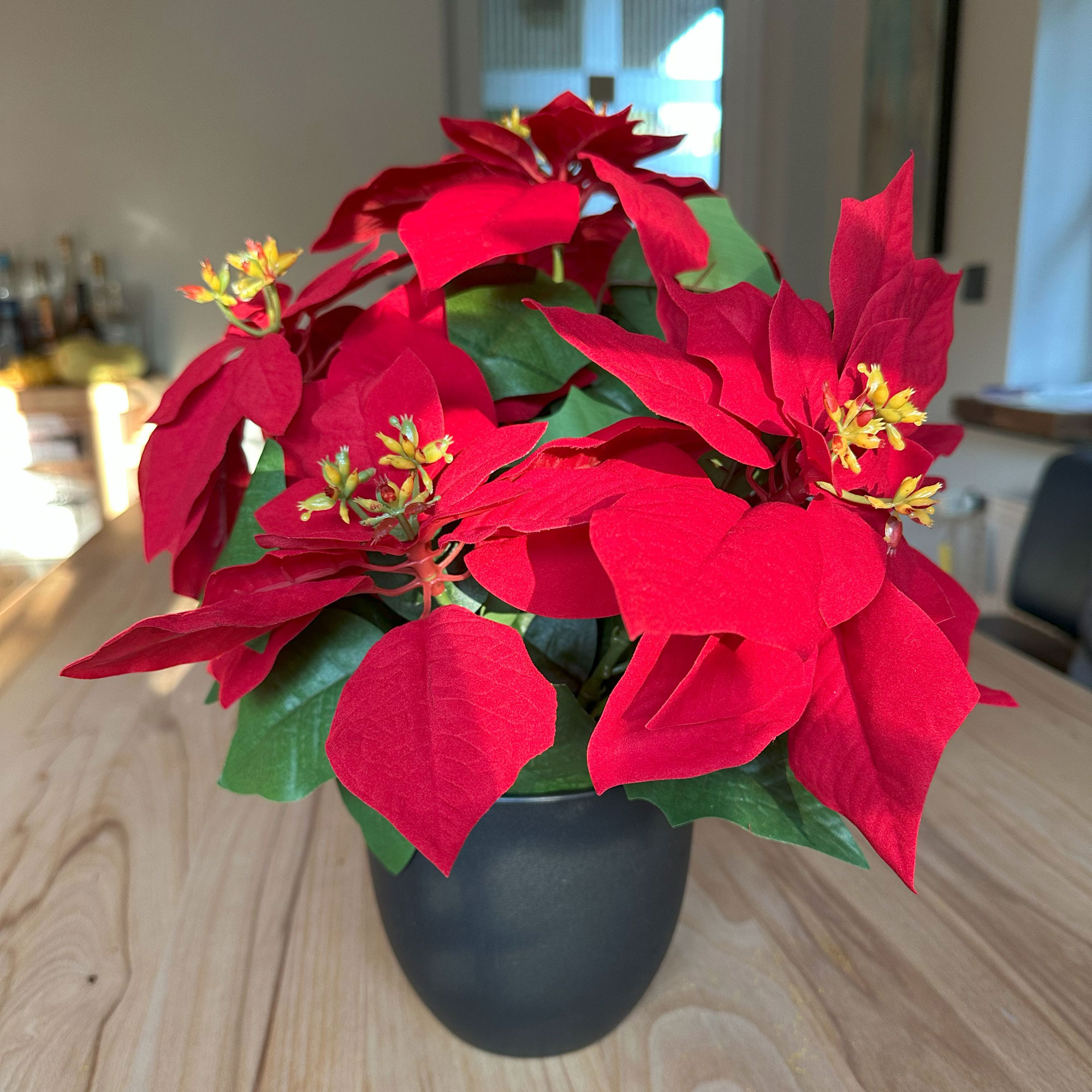 Acheter Fleur artificielle "grand poinsettia"  dans la boutique en ligne de Frank Flechtwaren