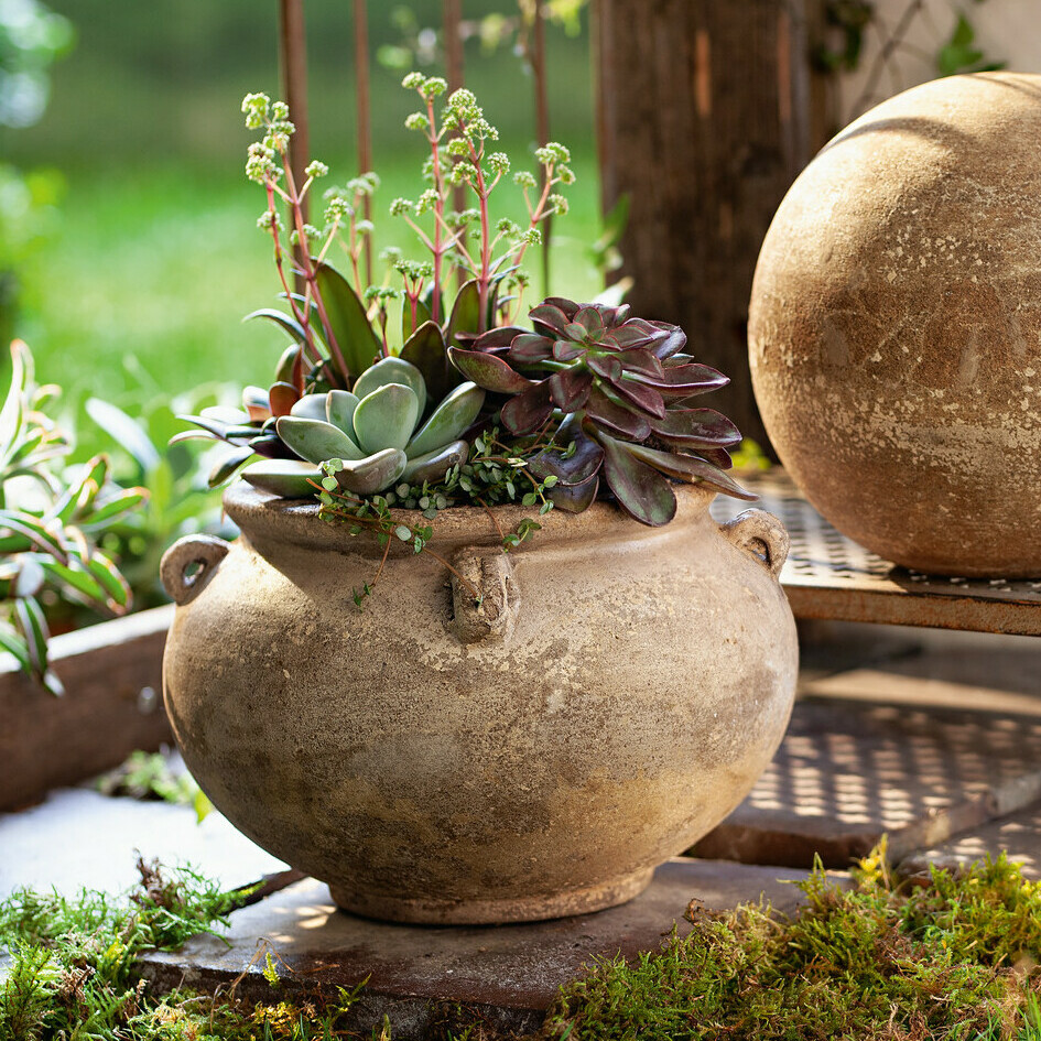 Acheter Pot à plantes "rustique"  dans la boutique en ligne de Frank Flechtwaren