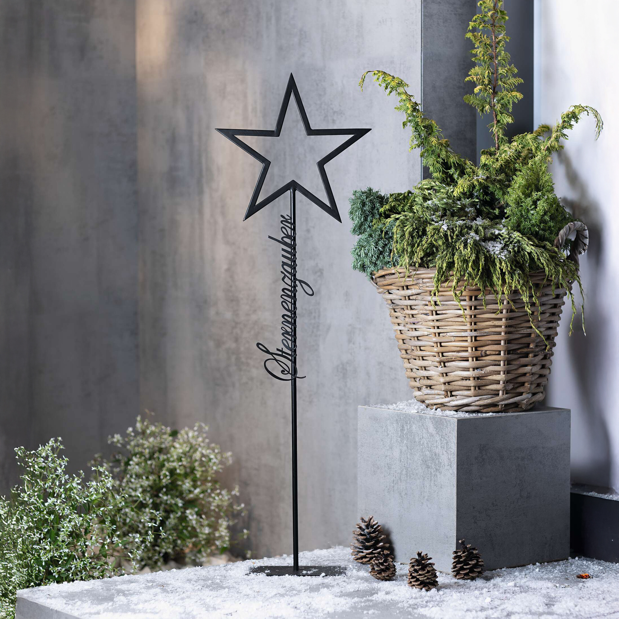 Acheter Décoration métallique "Sternenzauber"  dans la boutique en ligne de Frank Flechtwaren