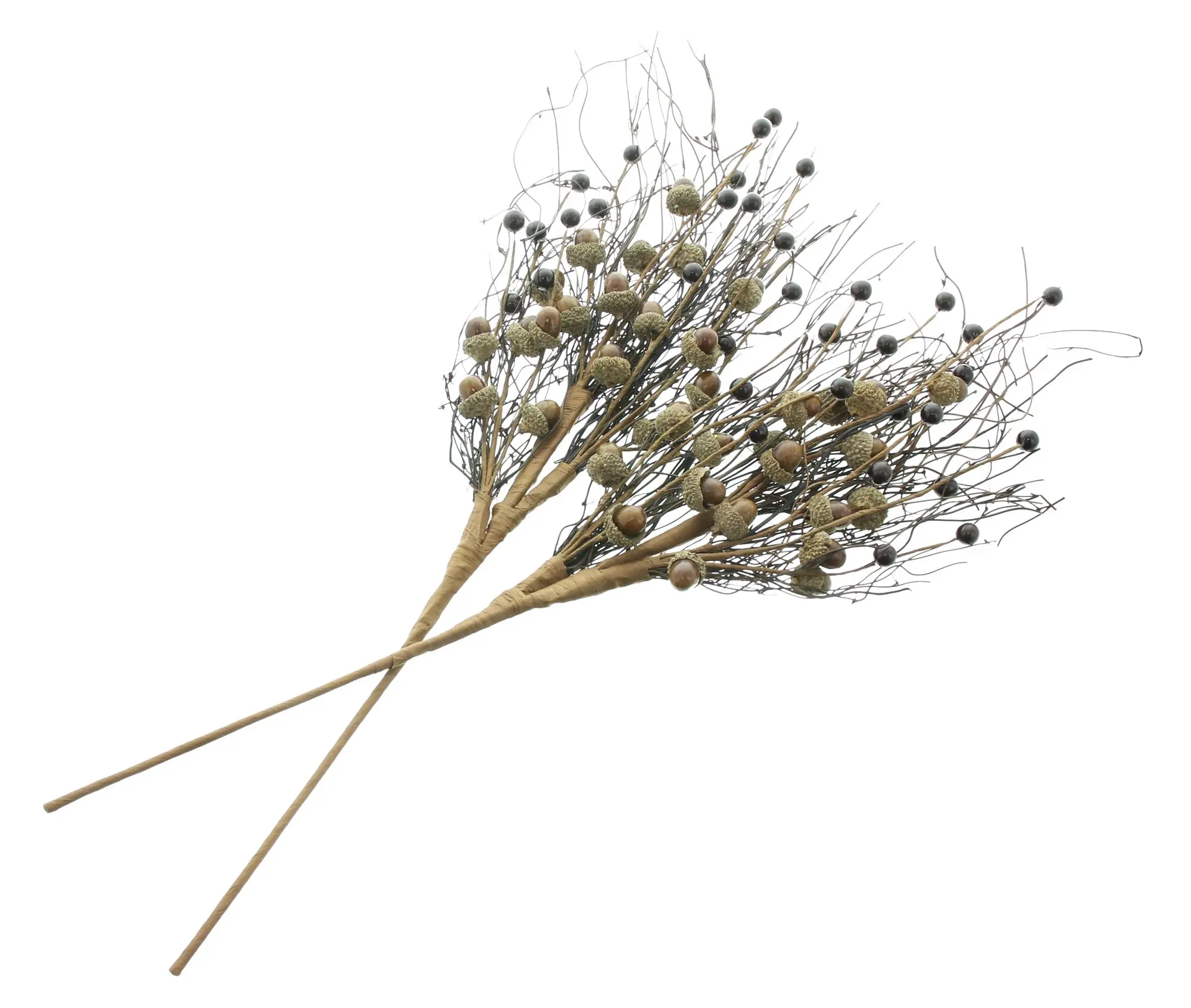 Acheter Branche décorative « glands », lot de 2 dans la boutique en ligne de Frank Flechtwaren pour Promenade en forêt