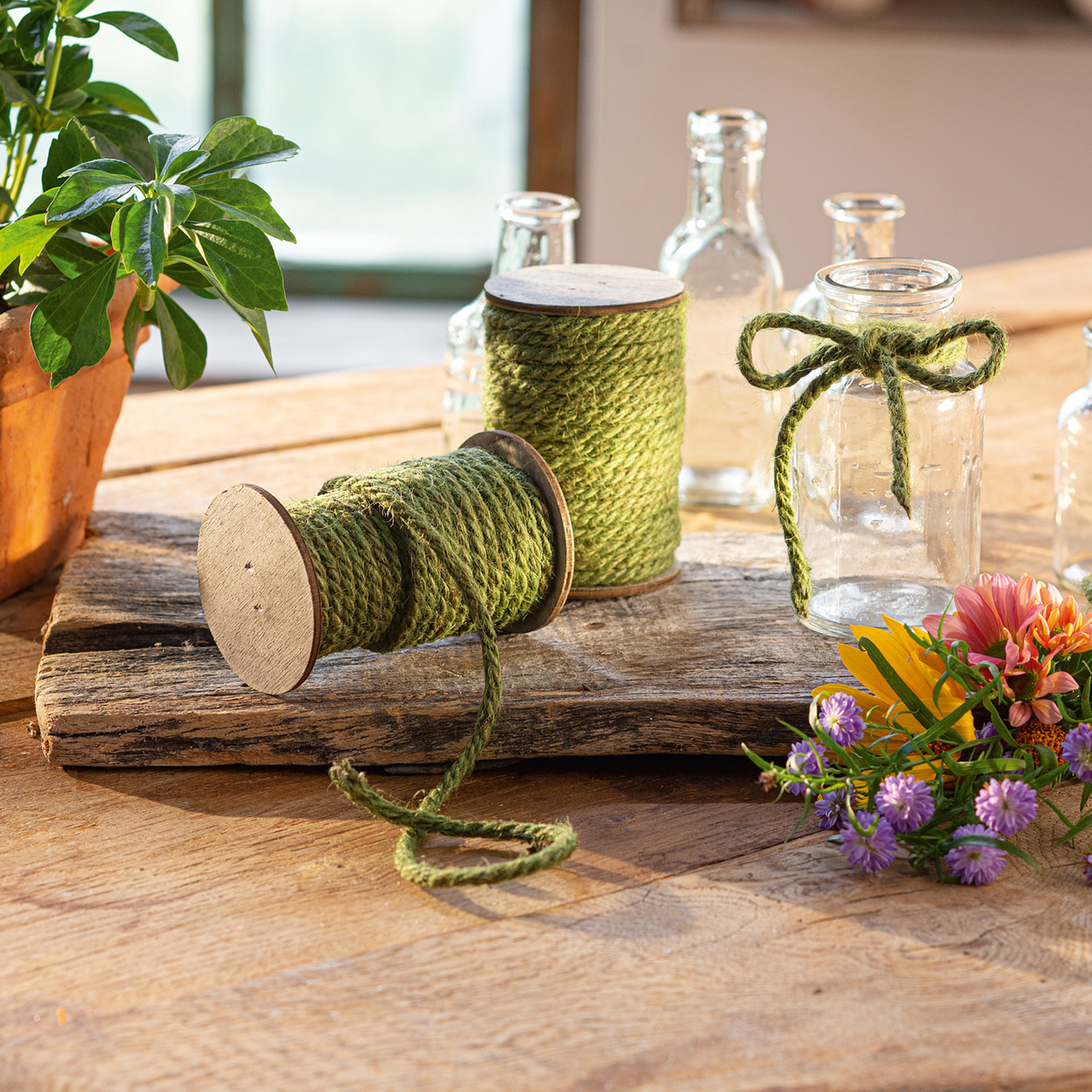 Acheter Lot de 2 cordons "vert"  dans la boutique en ligne de Frank Flechtwaren