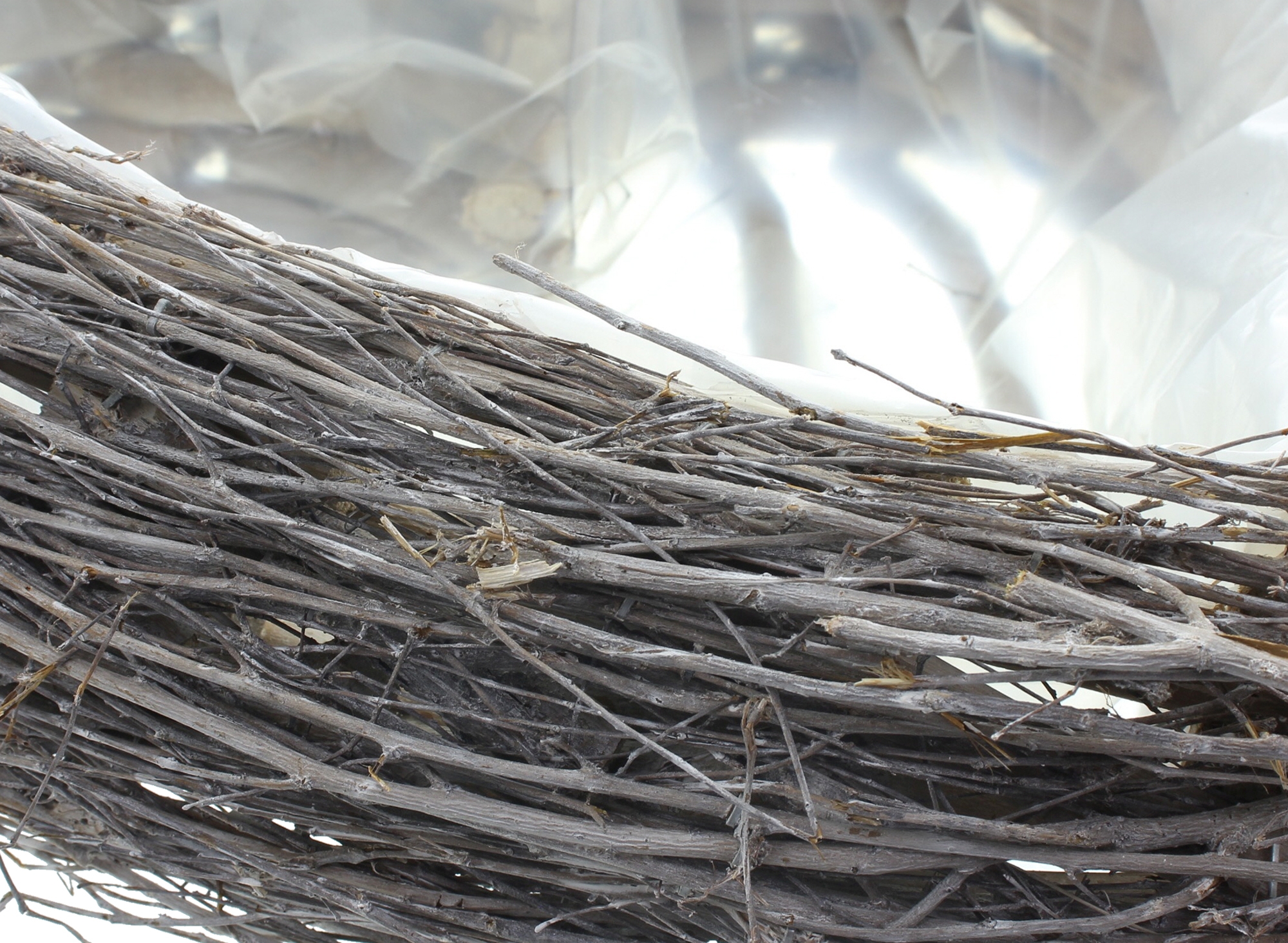 Acheter Jardinière "coeur"  dans la boutique en ligne de Frank Flechtwaren pour Nouvel arrivage