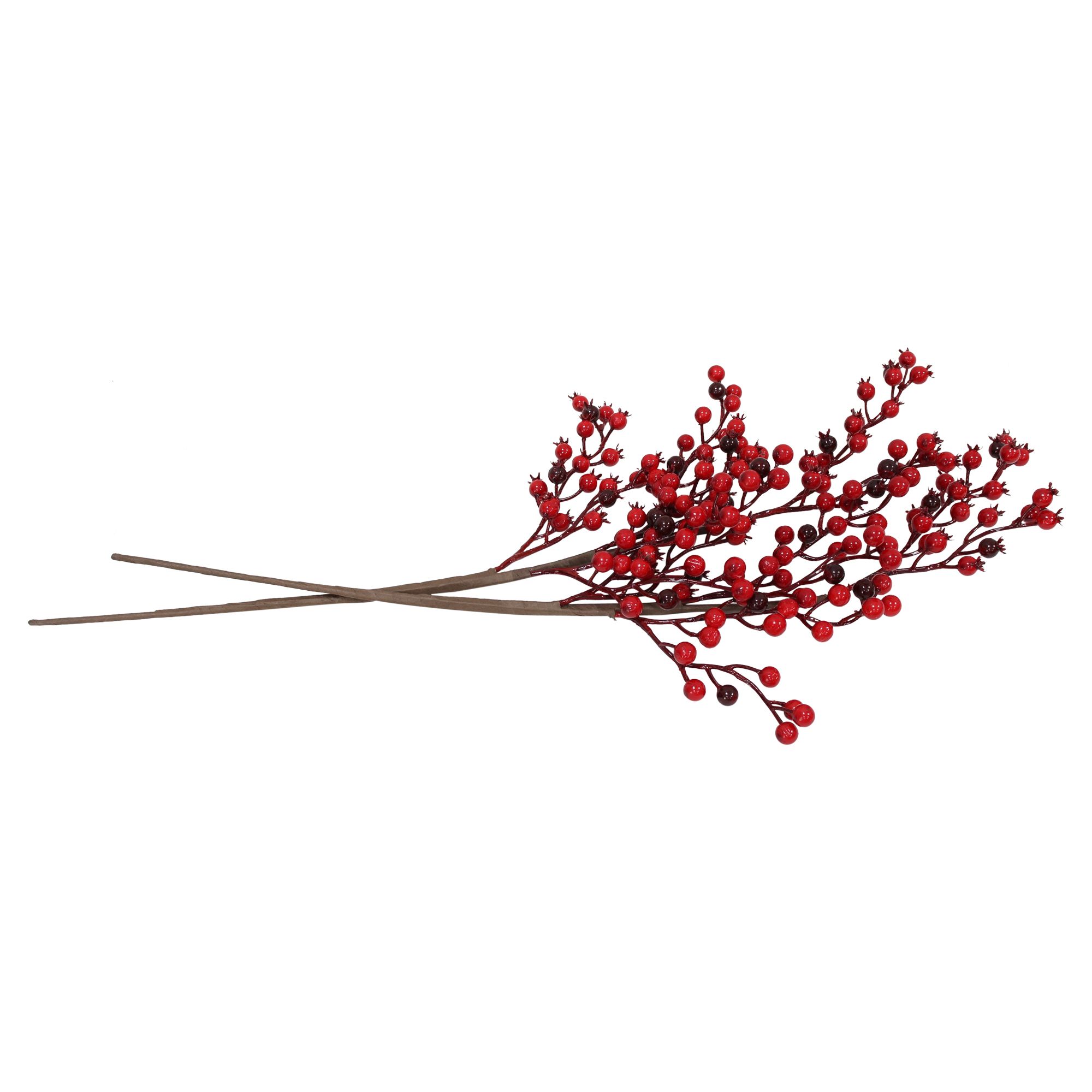 Acheter Branche décorative « Baies rouges », lot de 2 dans la boutique en ligne de Frank Flechtwaren pour Couronnes et bouquets