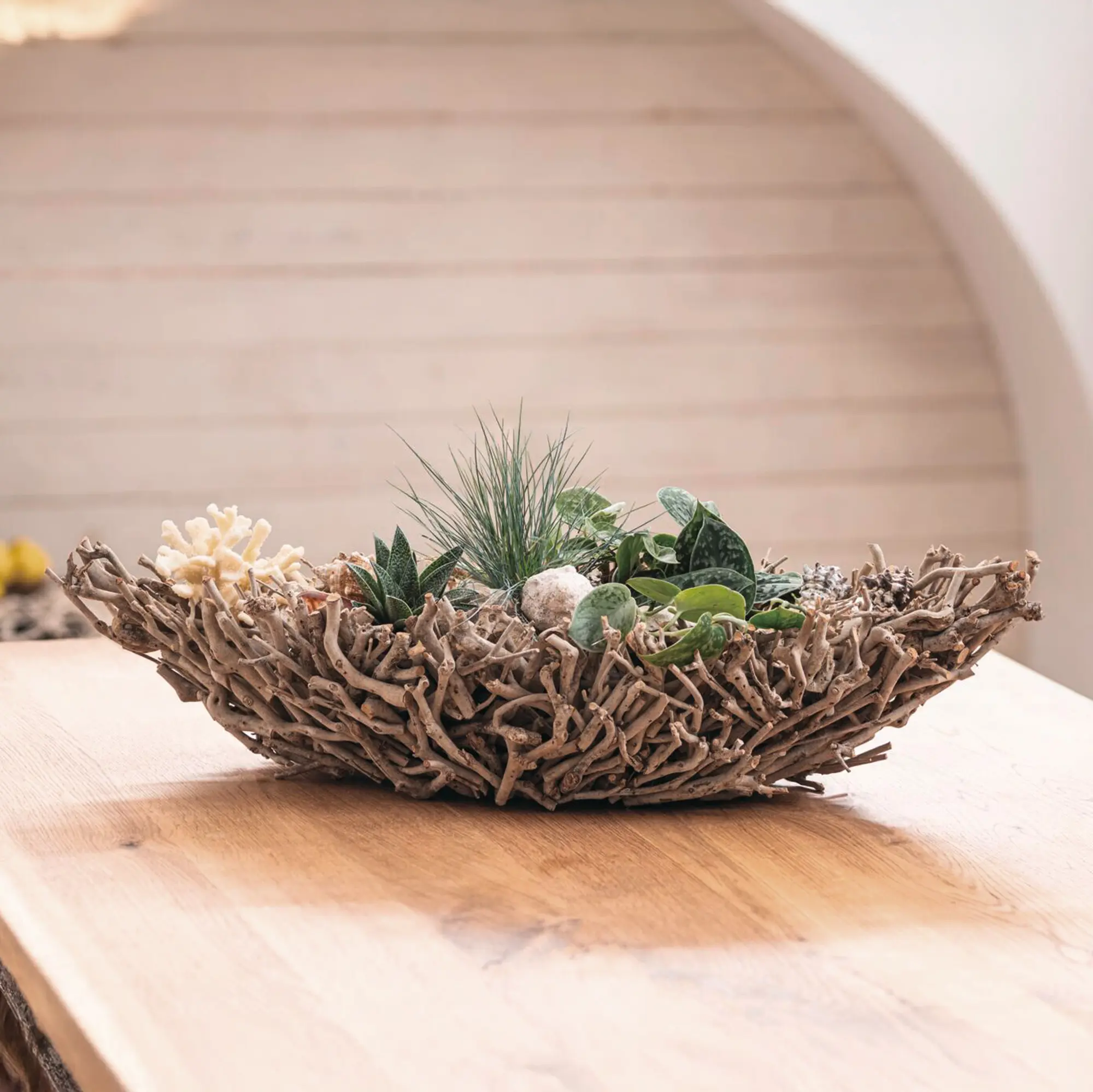 Acheter Coupe décorative "ramifiée"  dans la boutique en ligne de Frank Flechtwaren
