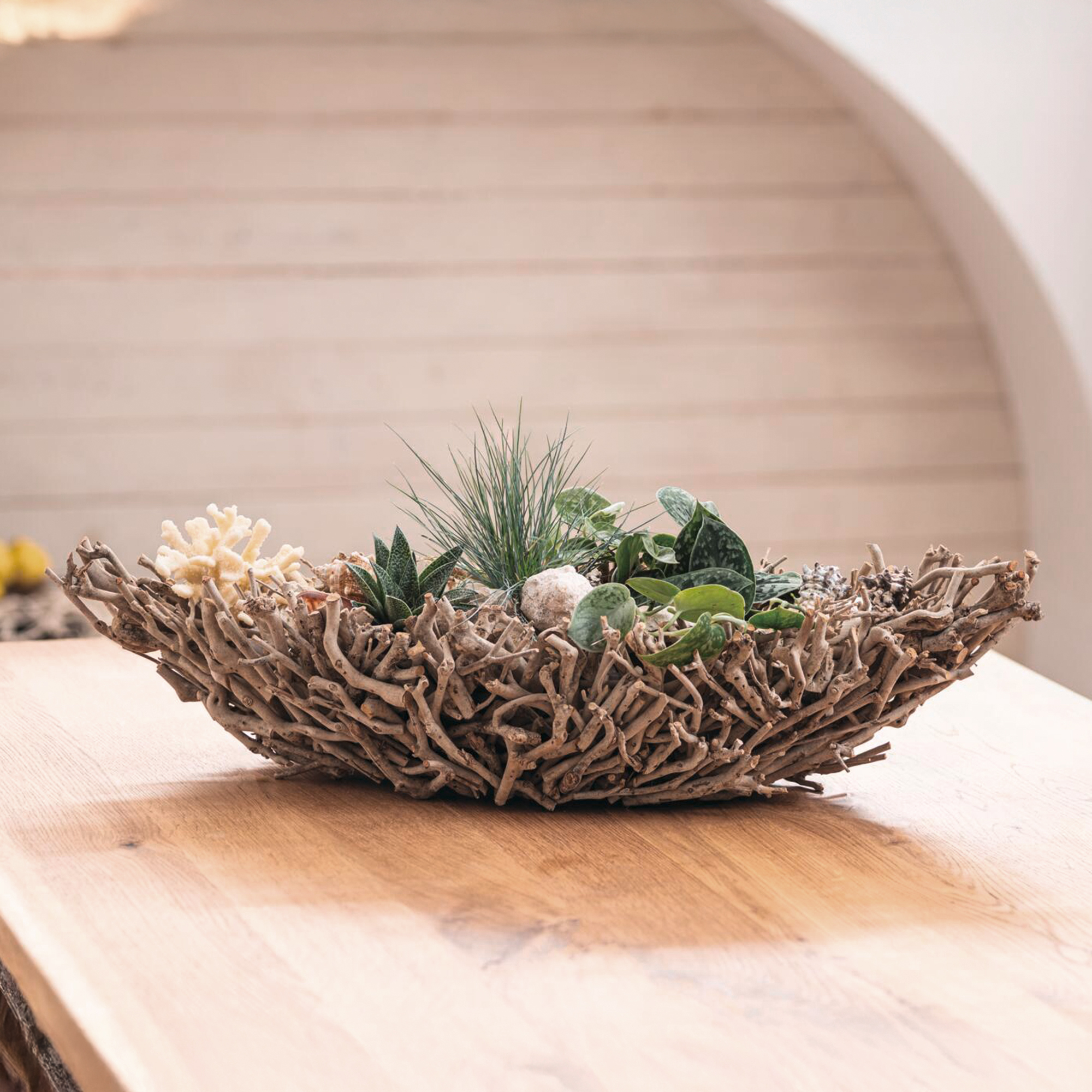 Acheter Coupe décorative "ramifiée"  dans la boutique en ligne de Frank Flechtwaren