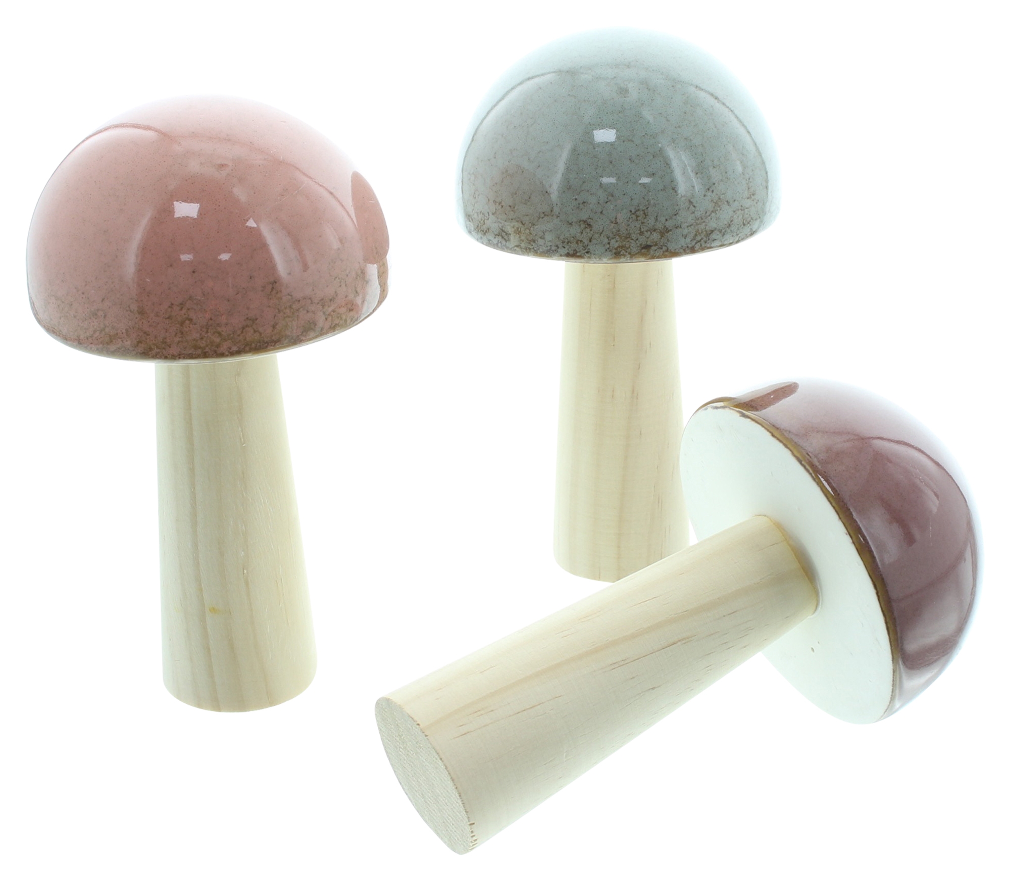 Acheter Lot de 3 champignons "Glossy"  dans la boutique en ligne de Frank Flechtwaren pour Automne