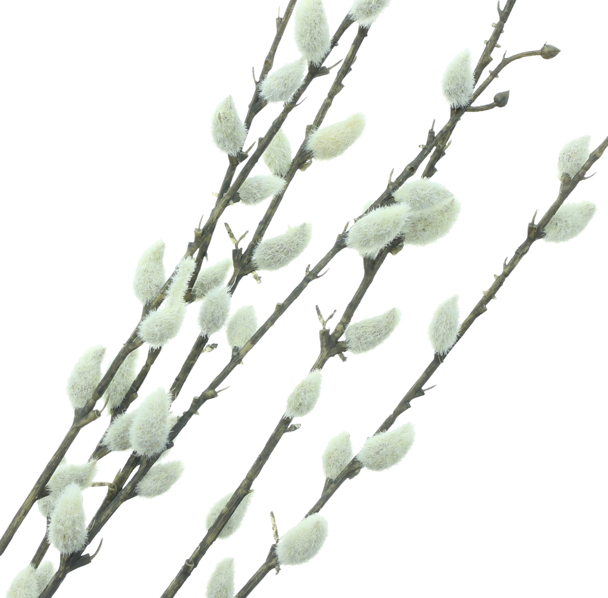 Acheter Lot de 2 branches décoratives "chaton"  dans la boutique en ligne de Frank Flechtwaren pour Plantes artificielles