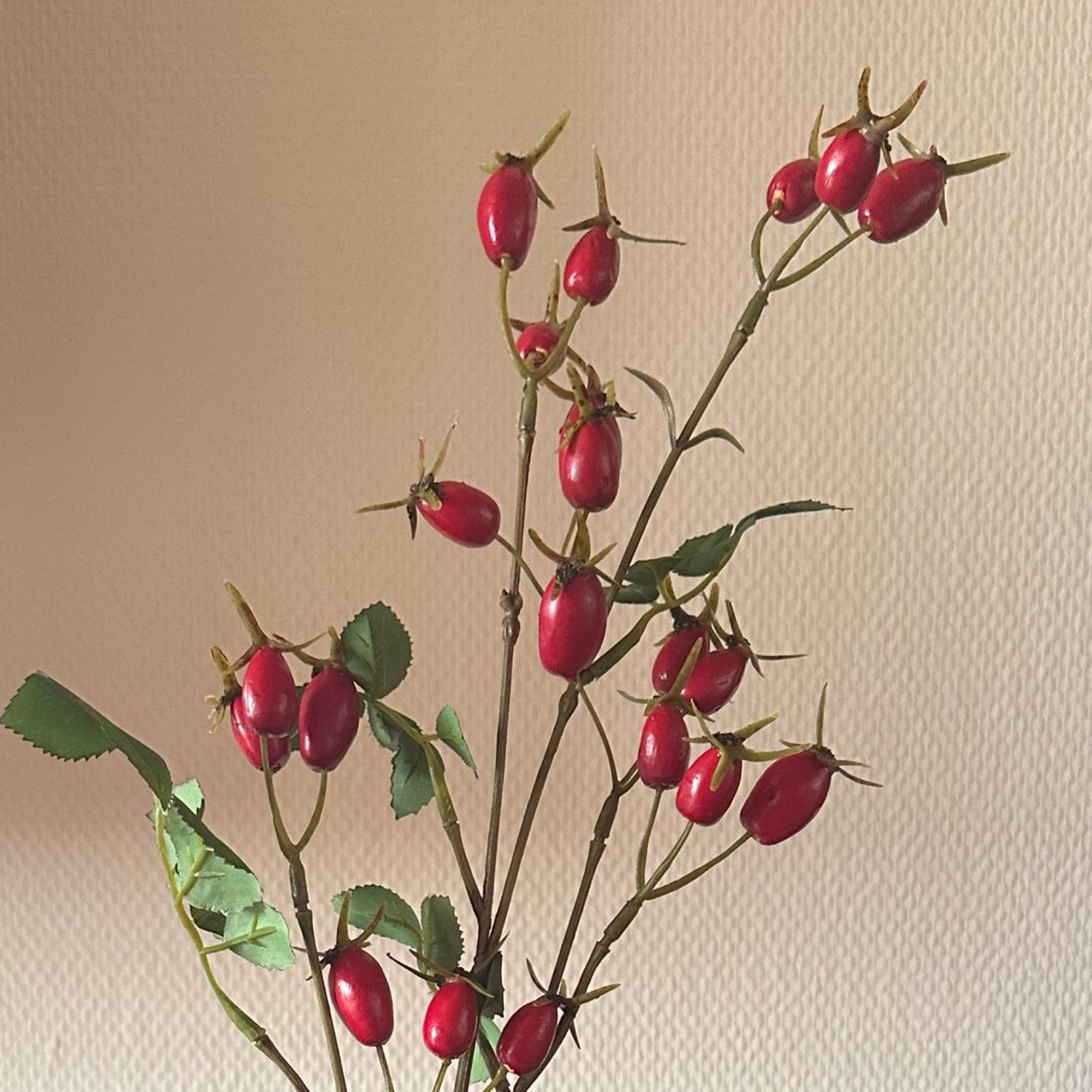 Acheter Branche artificielle "Cynorrhodons"  dans la boutique en ligne de Frank Flechtwaren pour Noël