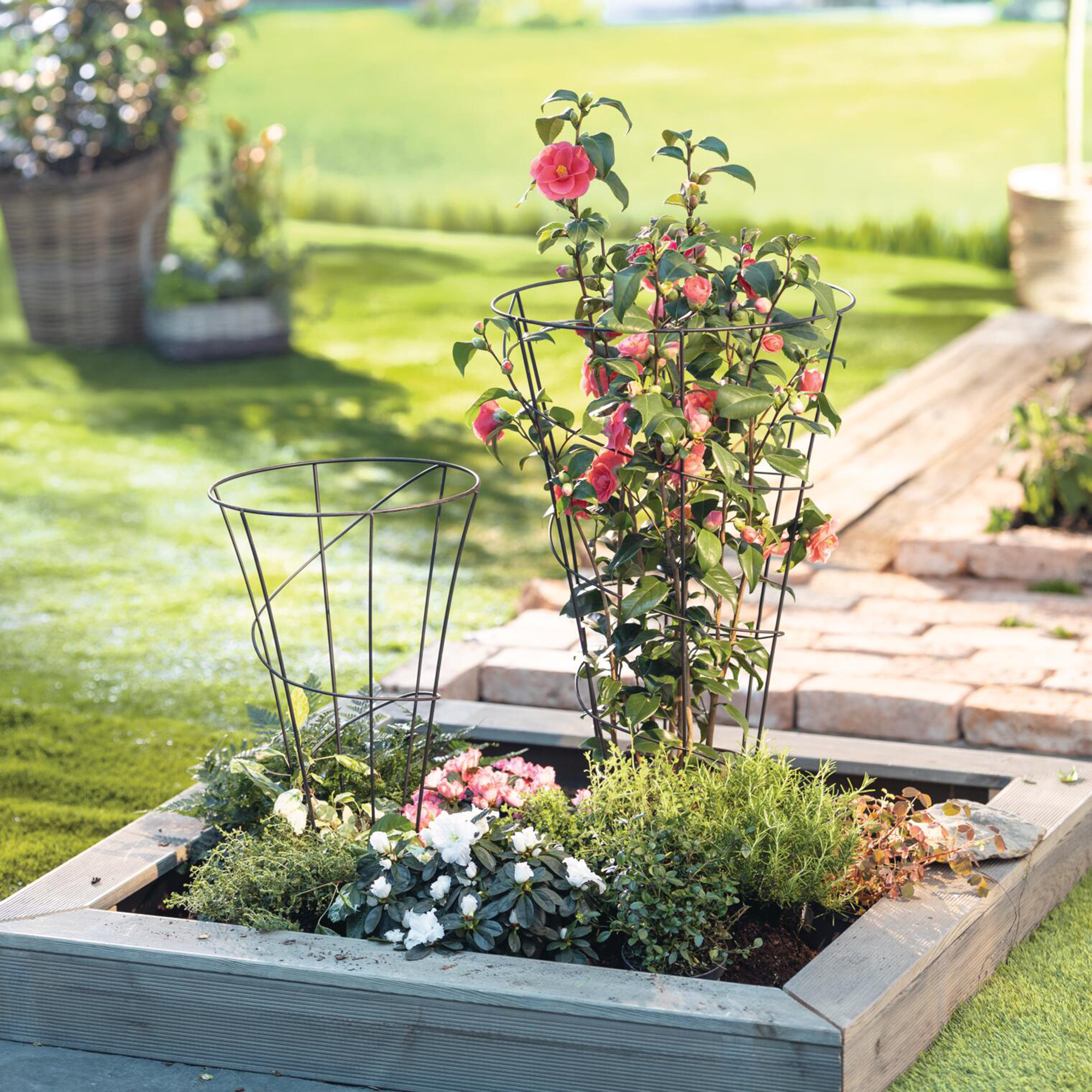 Acheter Lot de 2 treillis "Rondell"  dans la boutique en ligne de Frank Flechtwaren