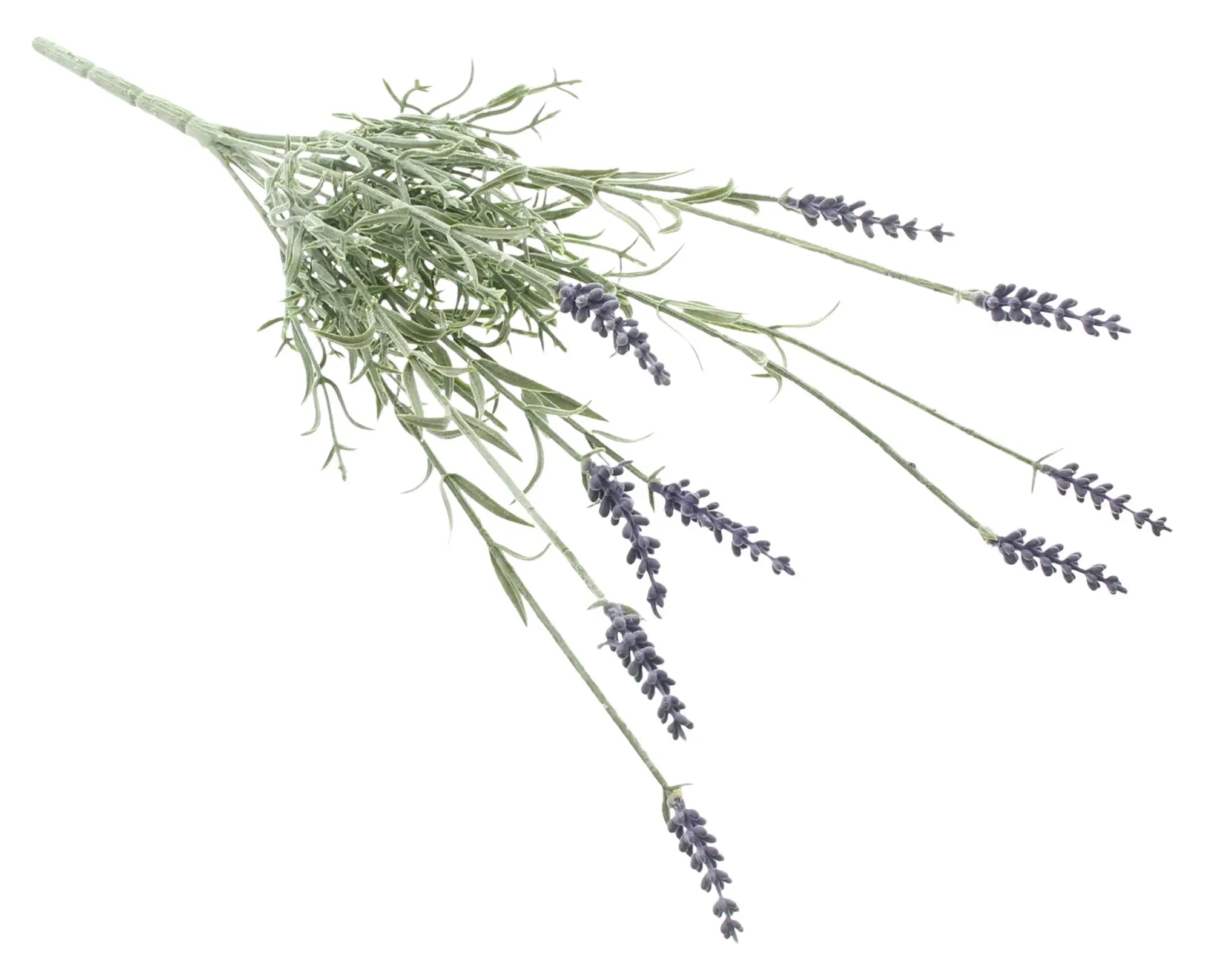 Acheter Fleur artificielle "Branches de lavande"  dans la boutique en ligne de Frank Flechtwaren pour Sorbet citron au