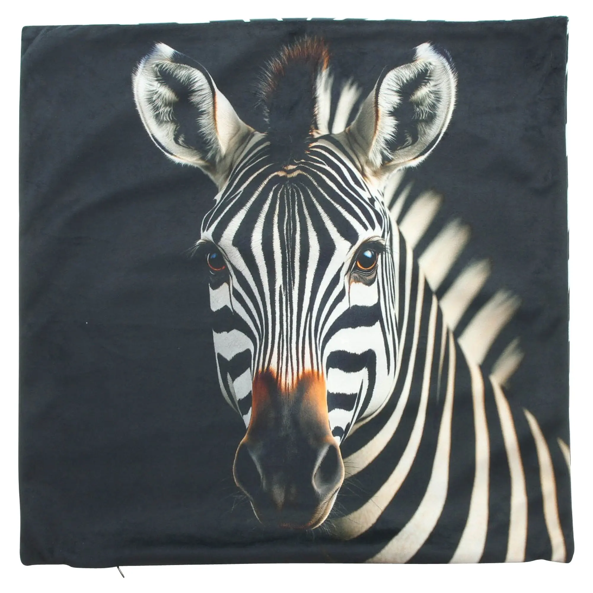 Acheter Housse de coussin « Zebra »  dans la boutique en ligne de Frank Flechtwaren pour Remplissages