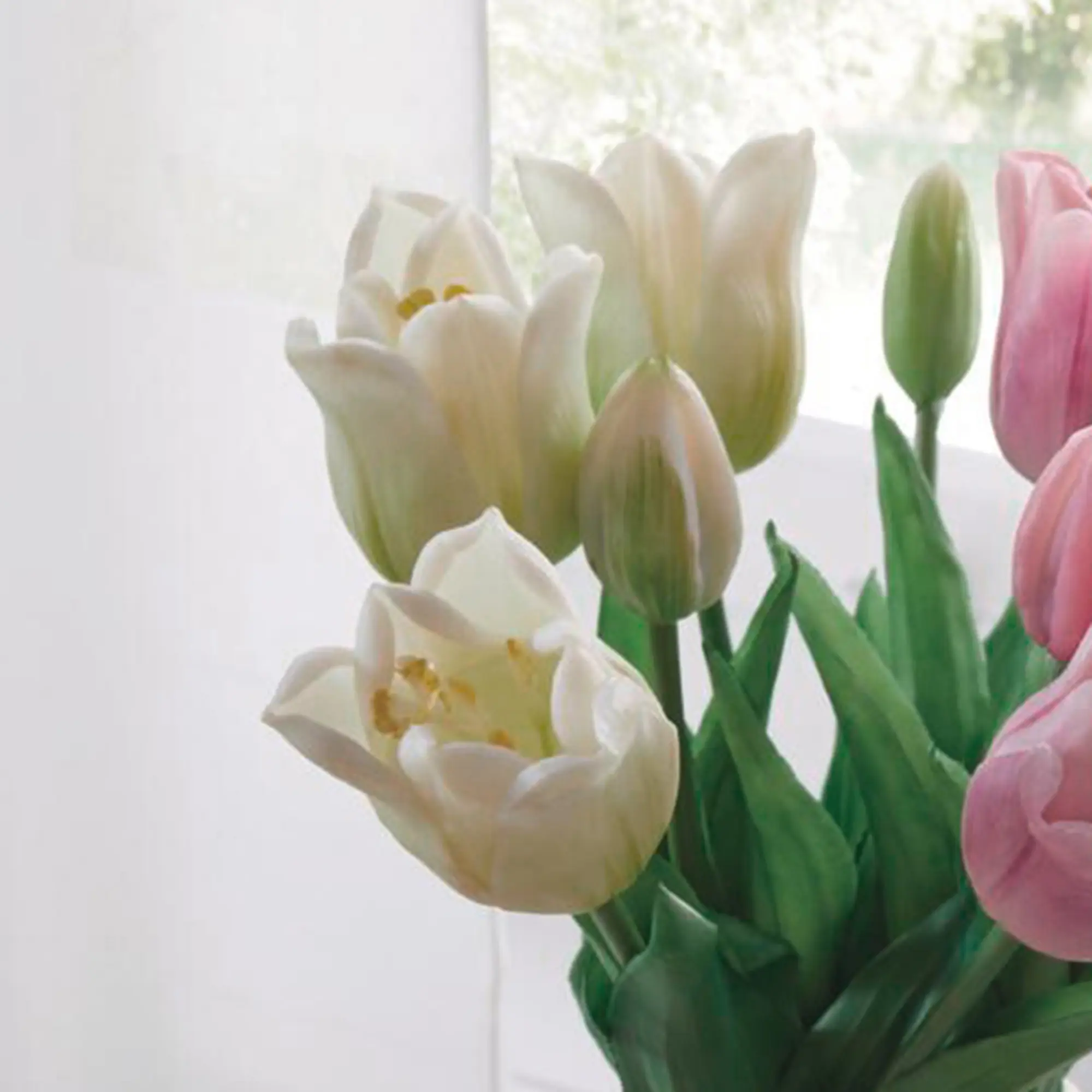 Acheter Lot de 5 tulipes "blanches"  dans la boutique en ligne de Frank Flechtwaren pour Tons pastel