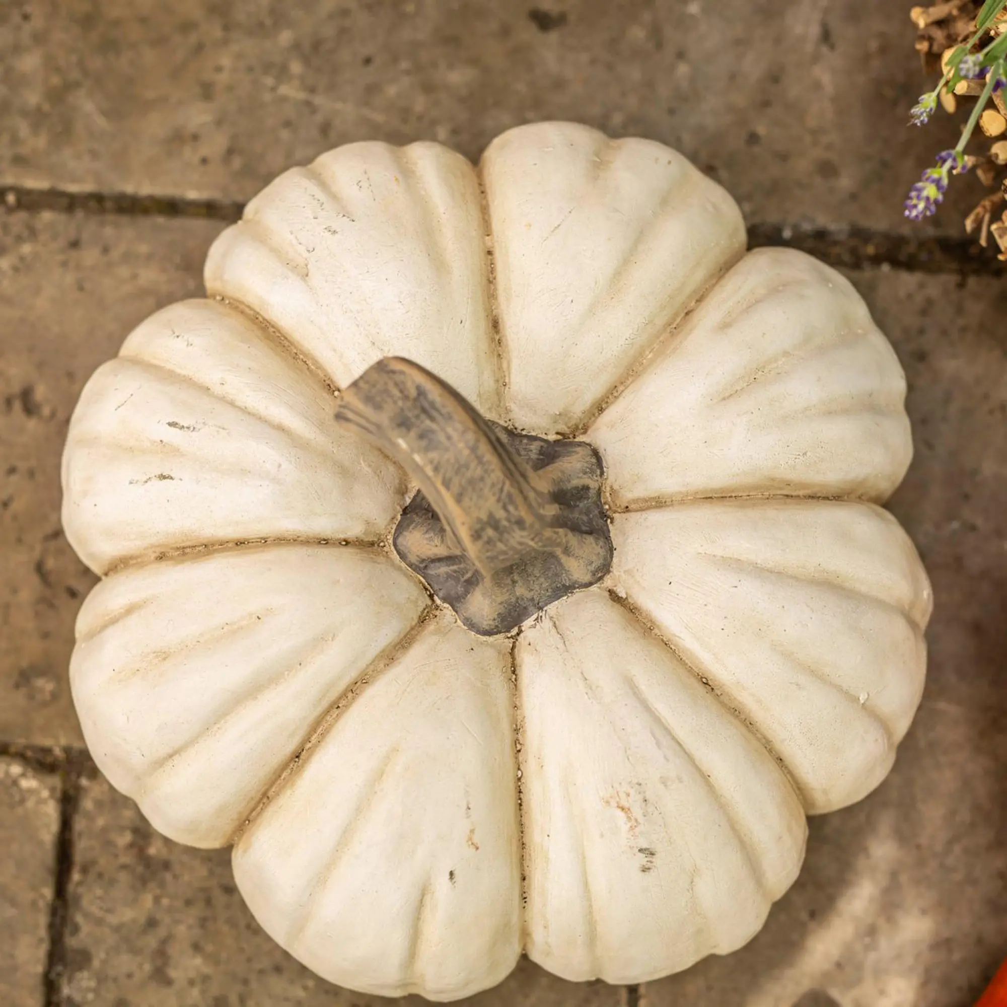 Acheter Citrouille décorative « White Pumpkin » dans la boutique en ligne de Frank Flechtwaren pour Citrouilles