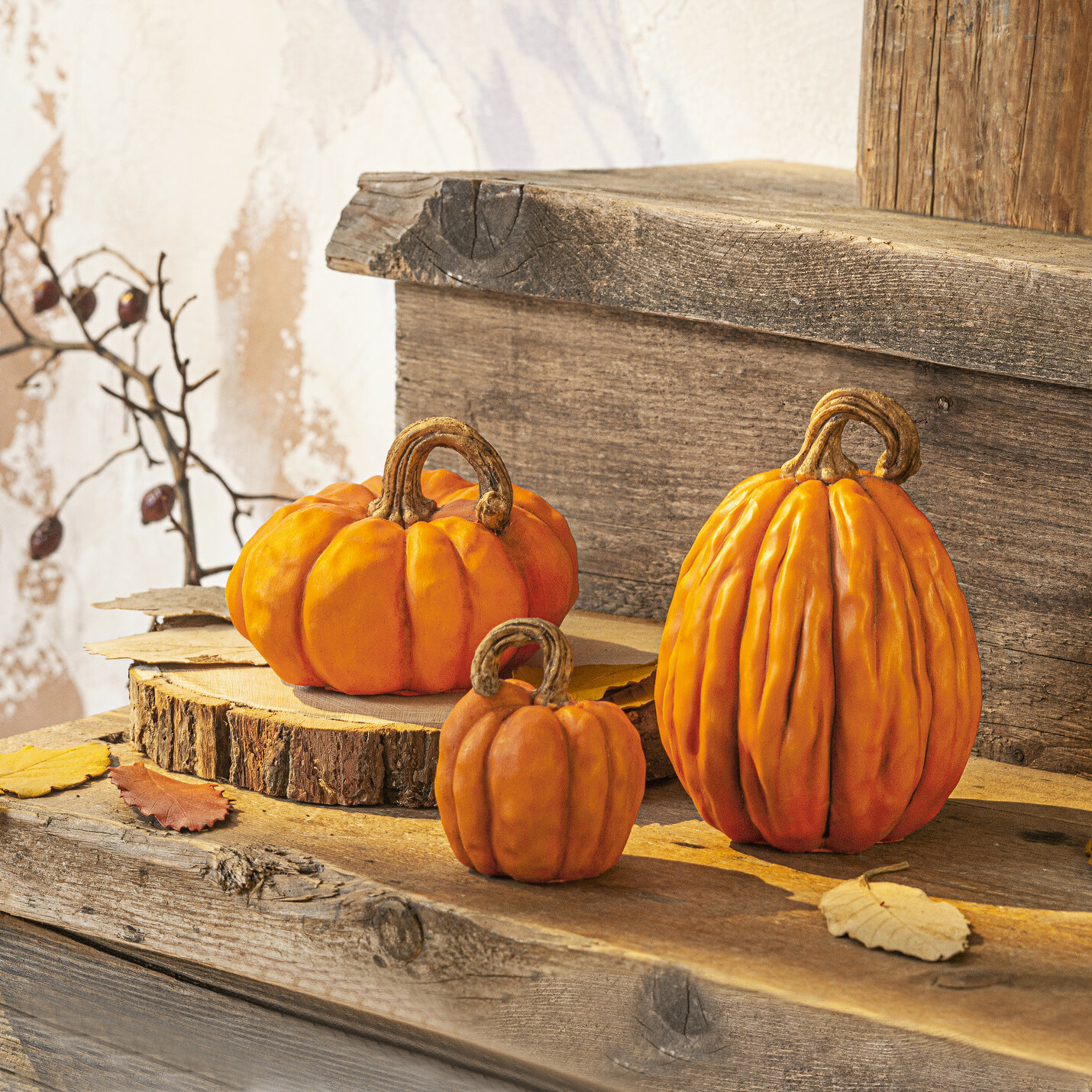 Acheter Lot de 3 citrouilles "orange"  dans la boutique en ligne de Frank Flechtwaren pour Halloween