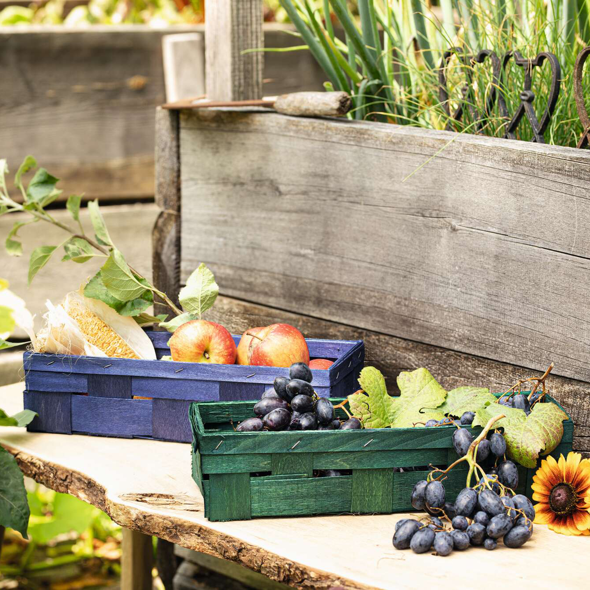 Acheter Panier "teint", bleu  dans la boutique en ligne de Frank Flechtwaren
