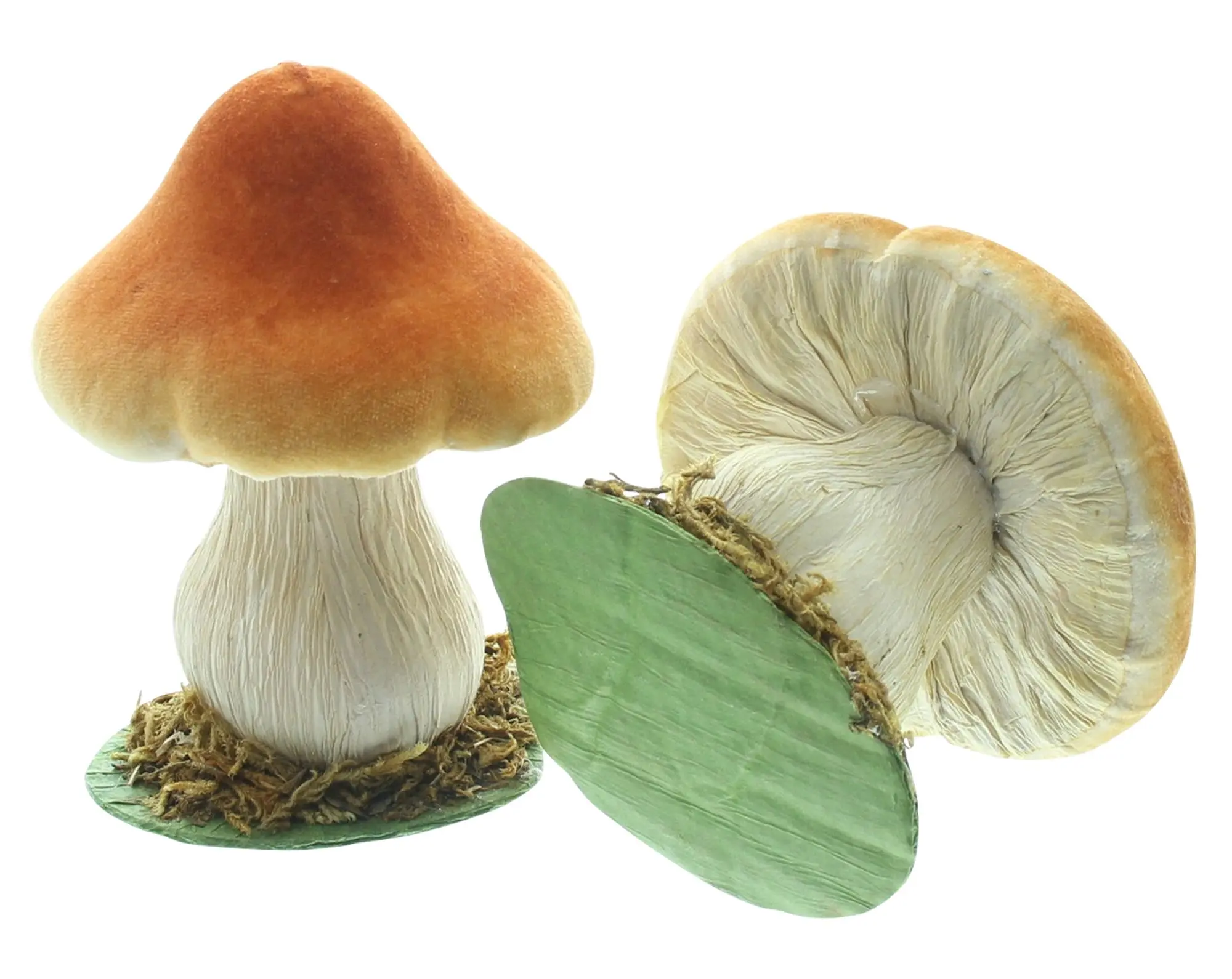 Acheter Décoration d'automne « Petits champignons », lot de 2 dans la boutique en ligne de Frank Flechtwaren pour Promenade en forêt